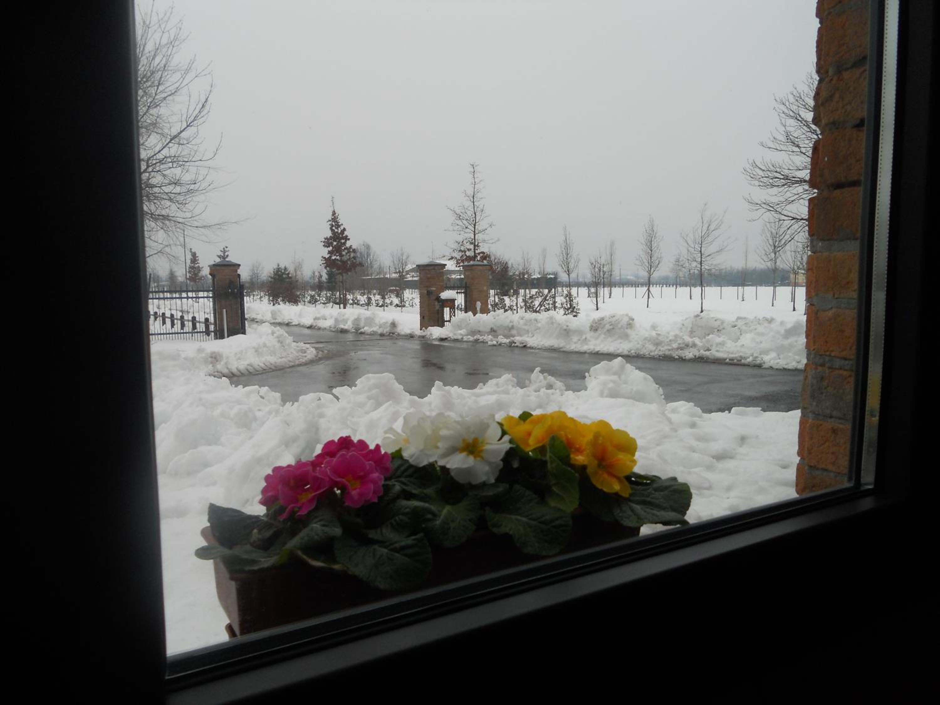 La Casa di Campagna - Property Image 6