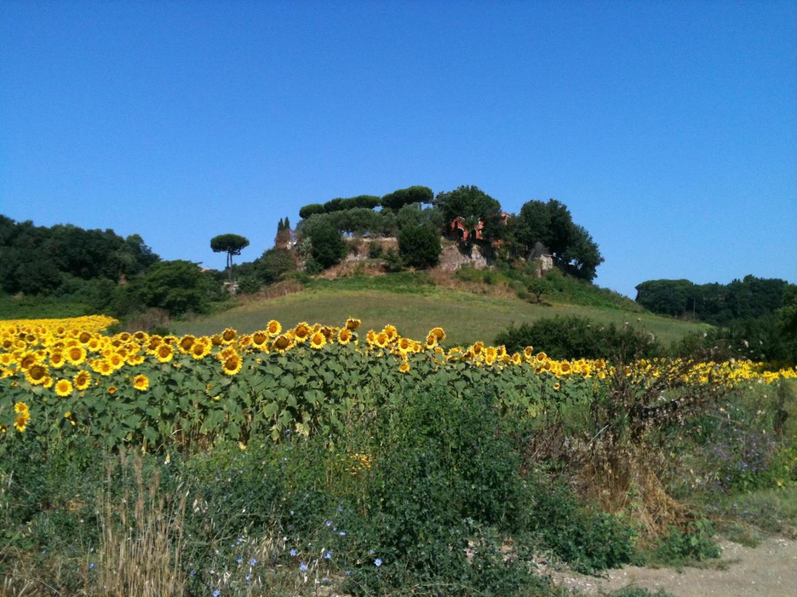 Parco delle Nazioni - Relax Grand Resort
