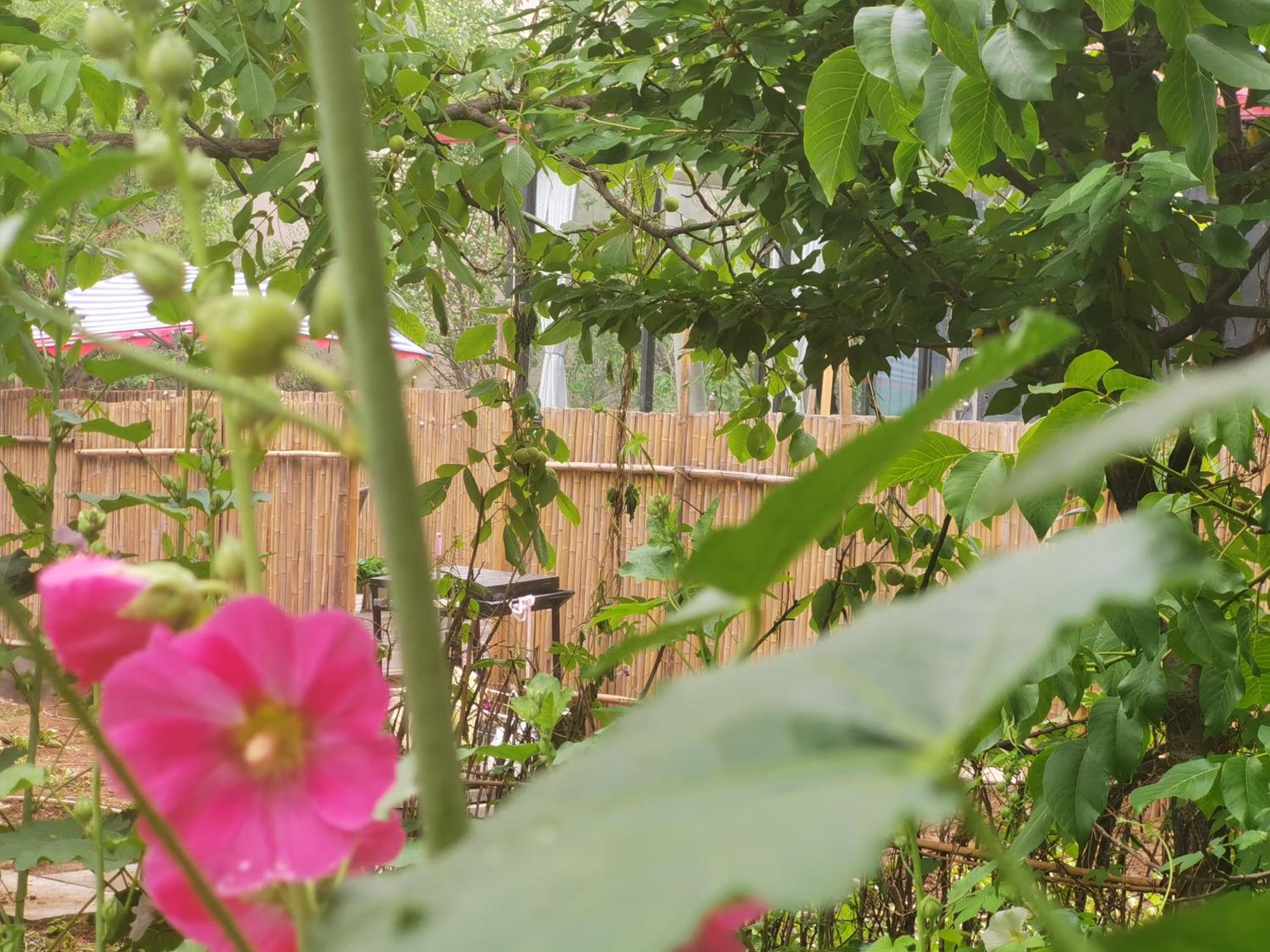 Billina Private Boutique Garden Cottage