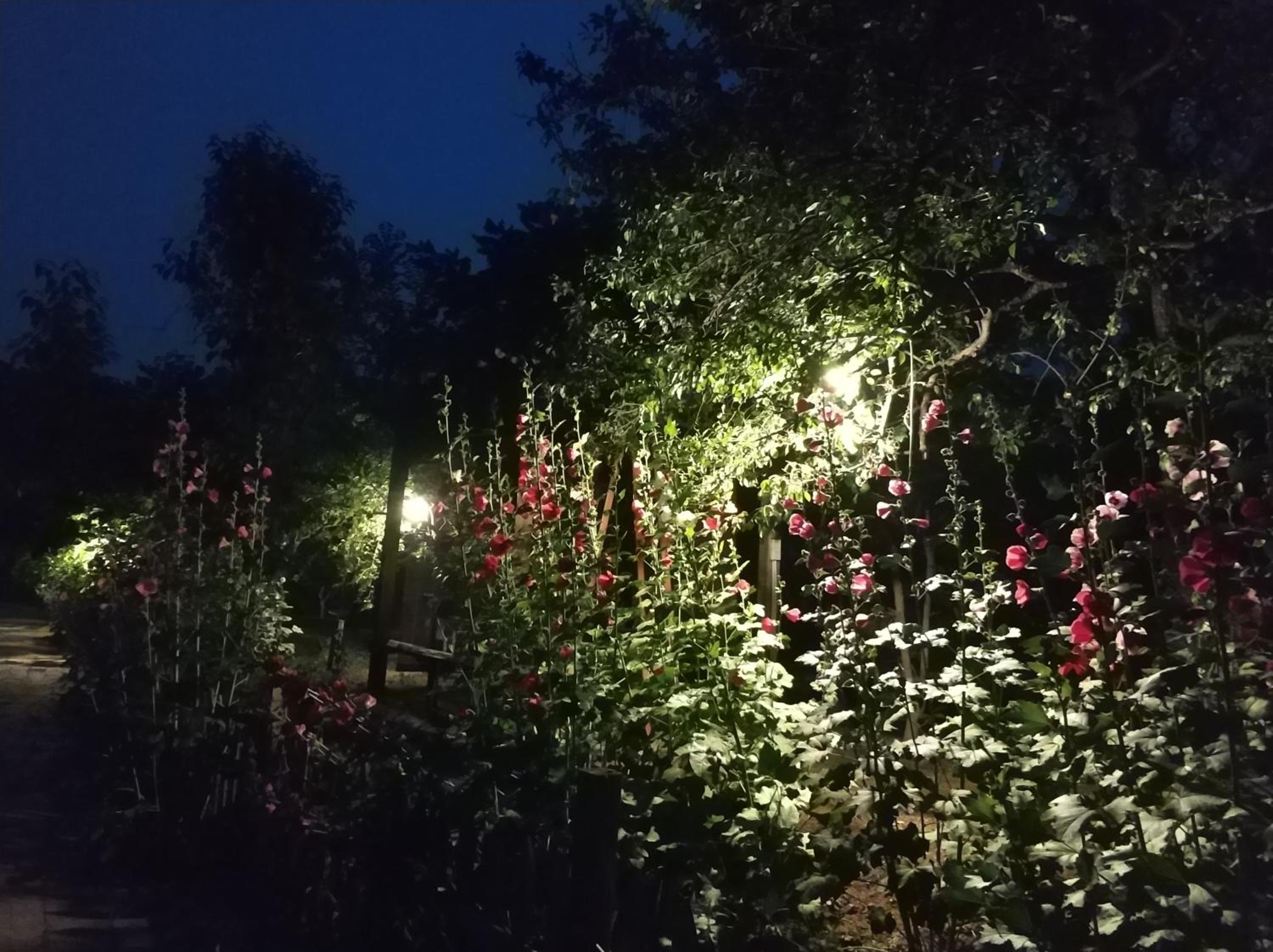 Billina Private Boutique Garden Cottage