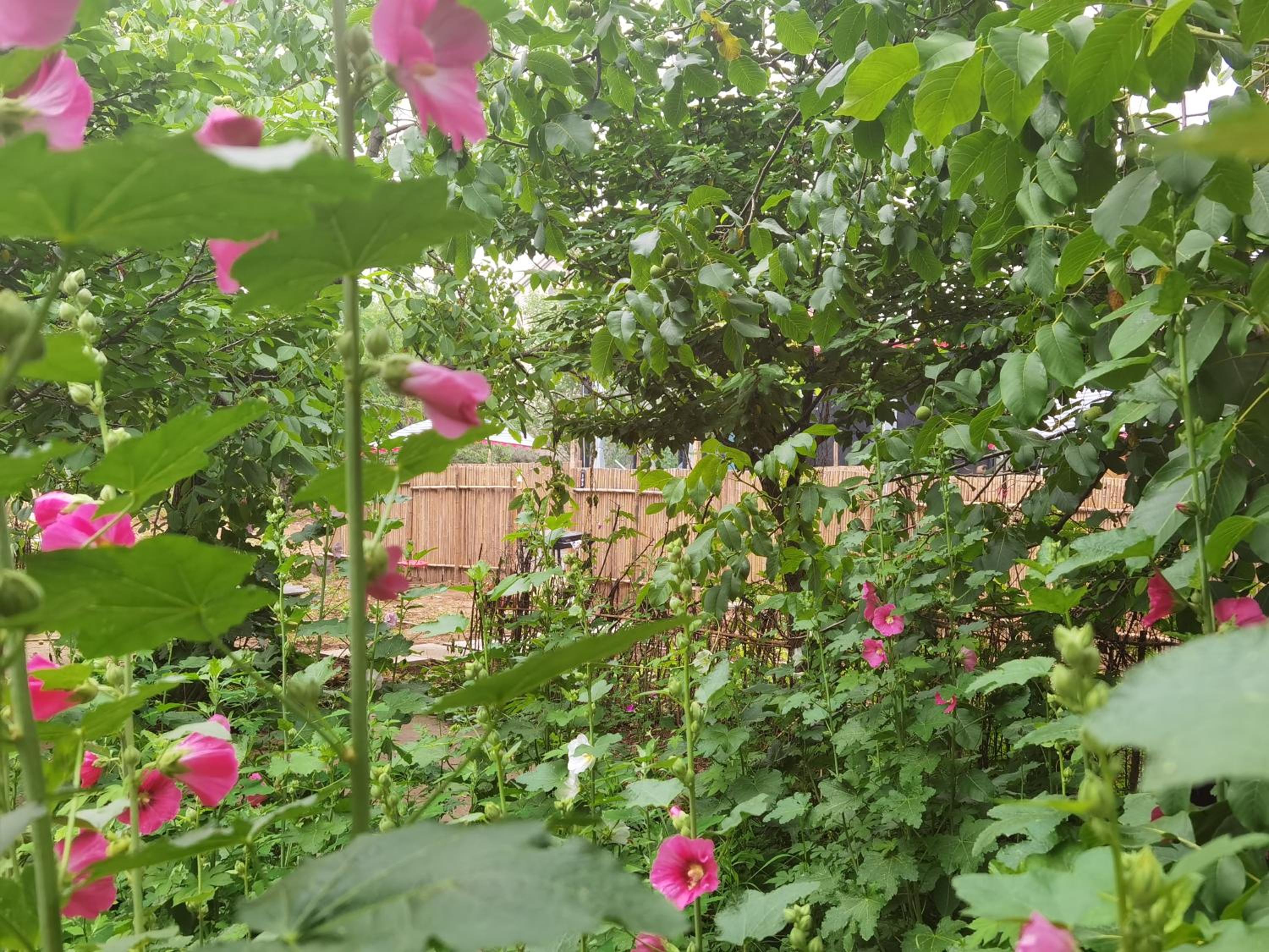 Billina Private Boutique Garden Cottage
