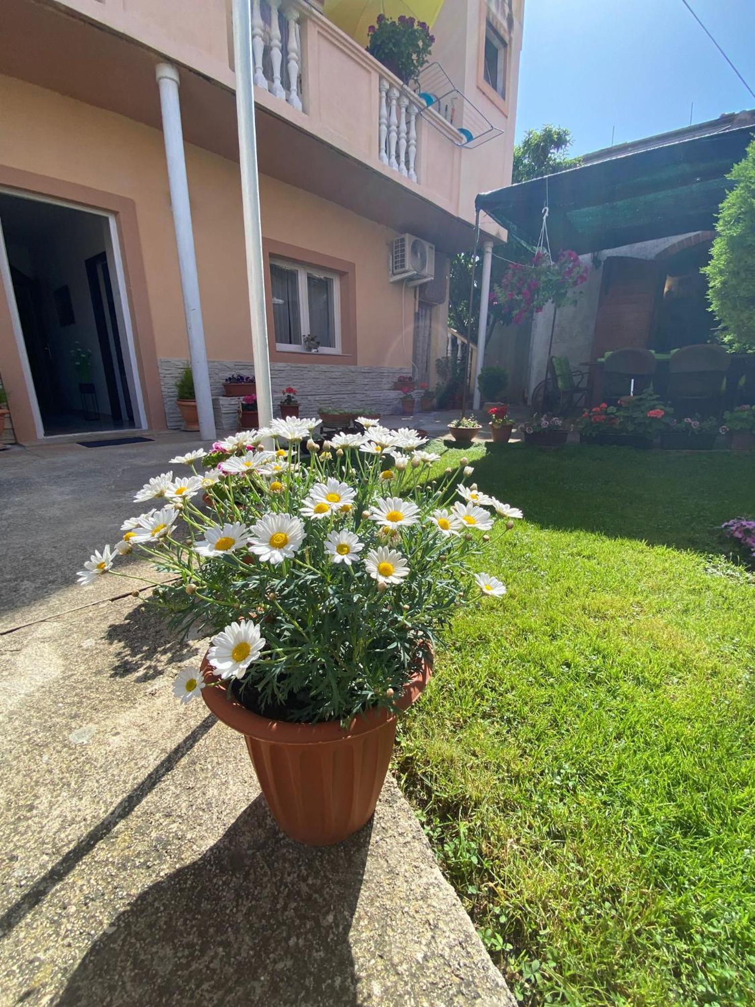 Apartment Dora