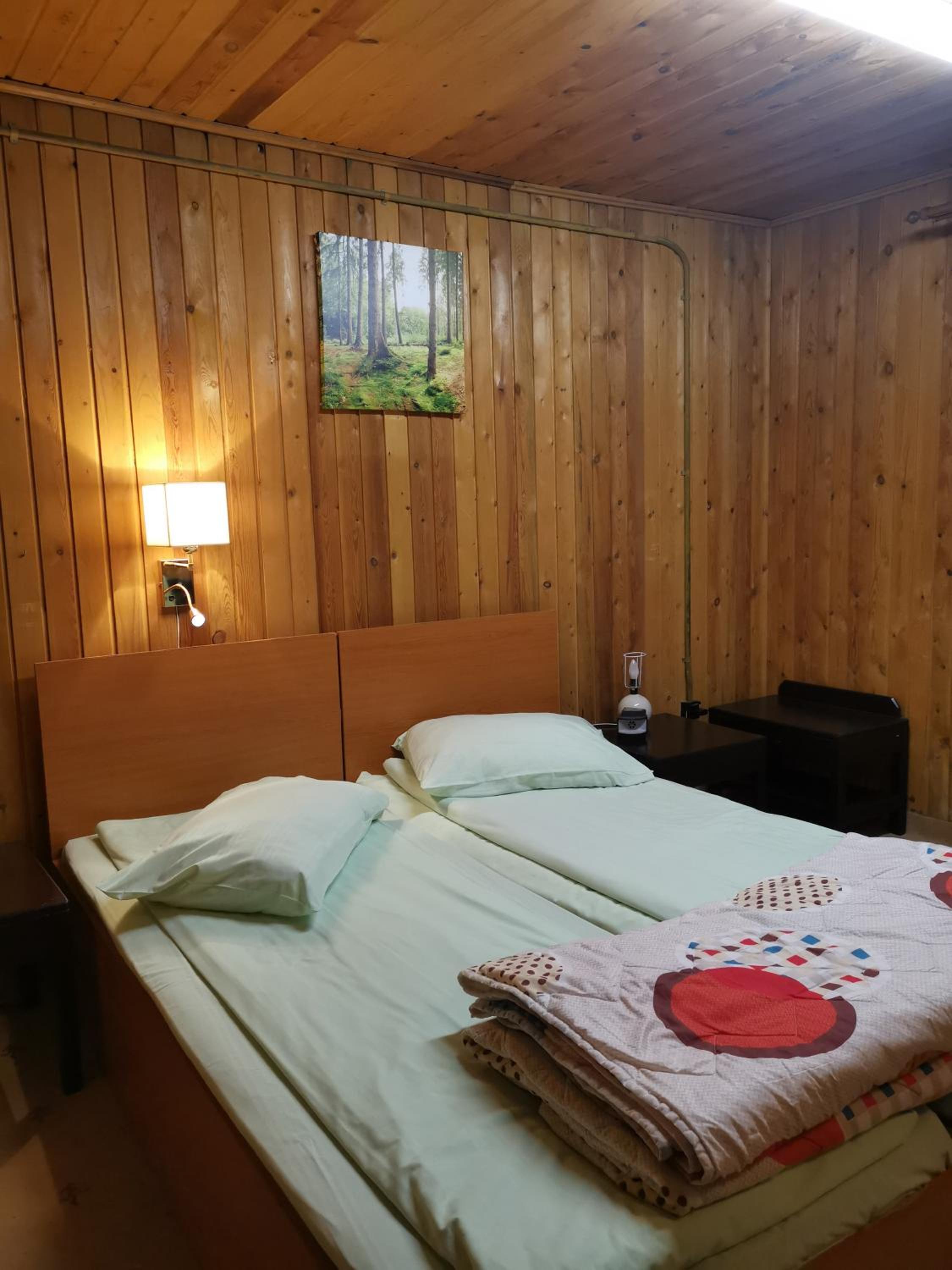 Cabana Fantanita cu Brazi view 4