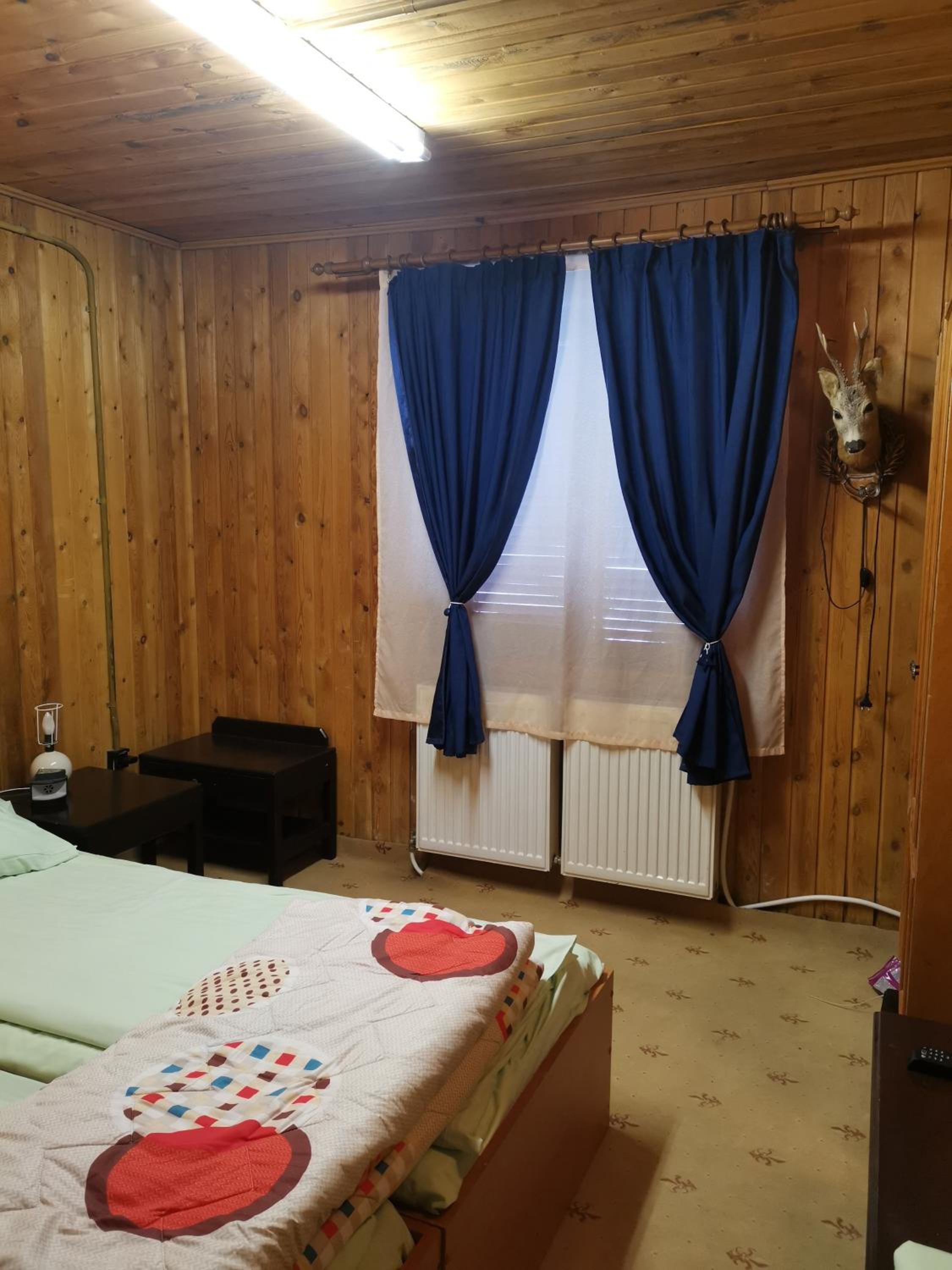 Cabana Fantanita cu Brazi view 2