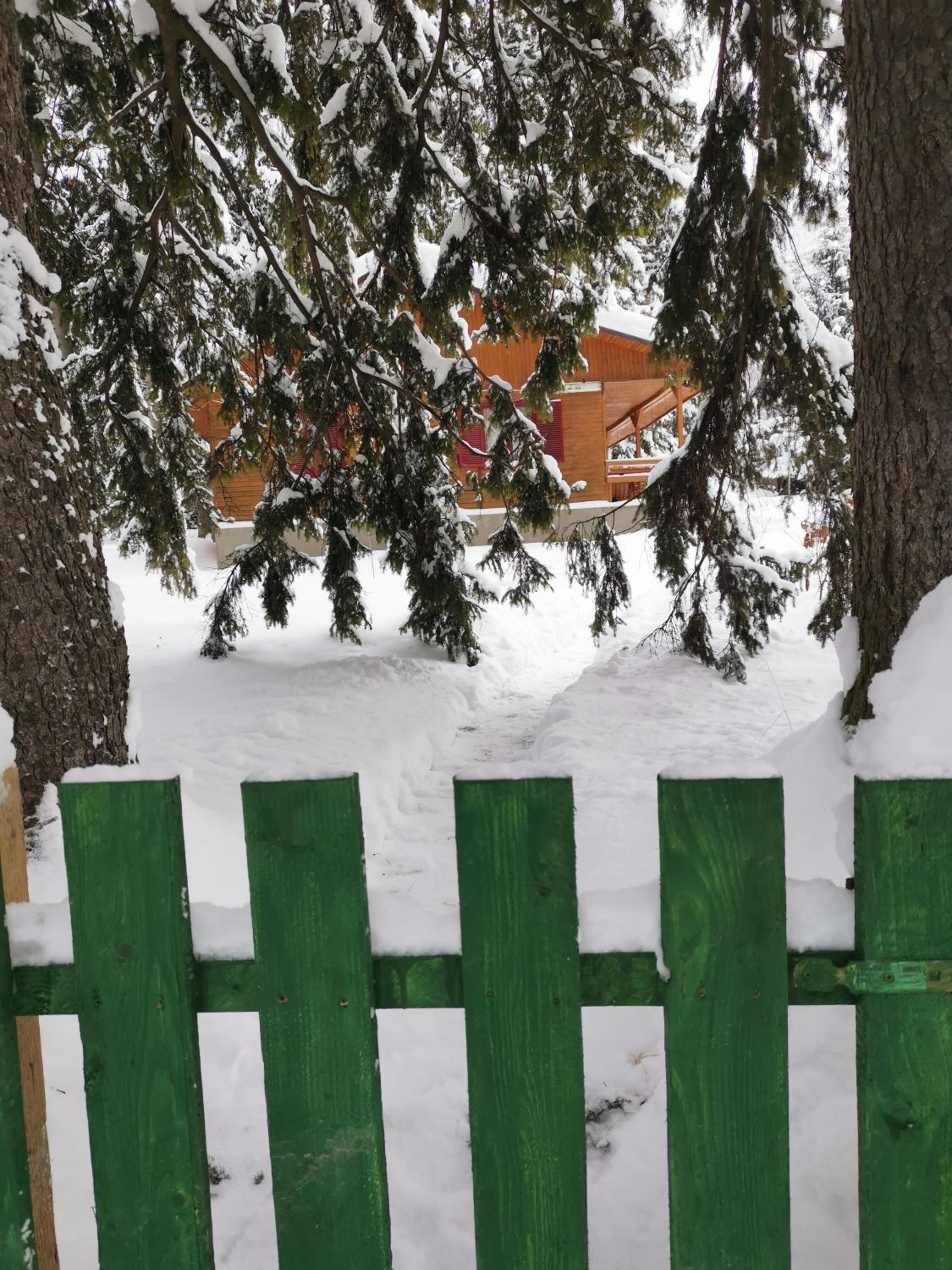 Photo 12