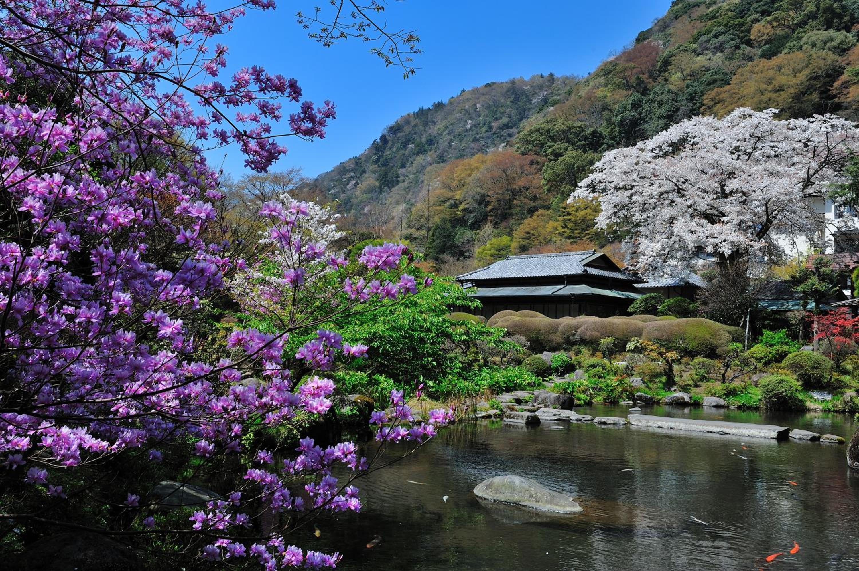 Yoshiike Ryokan