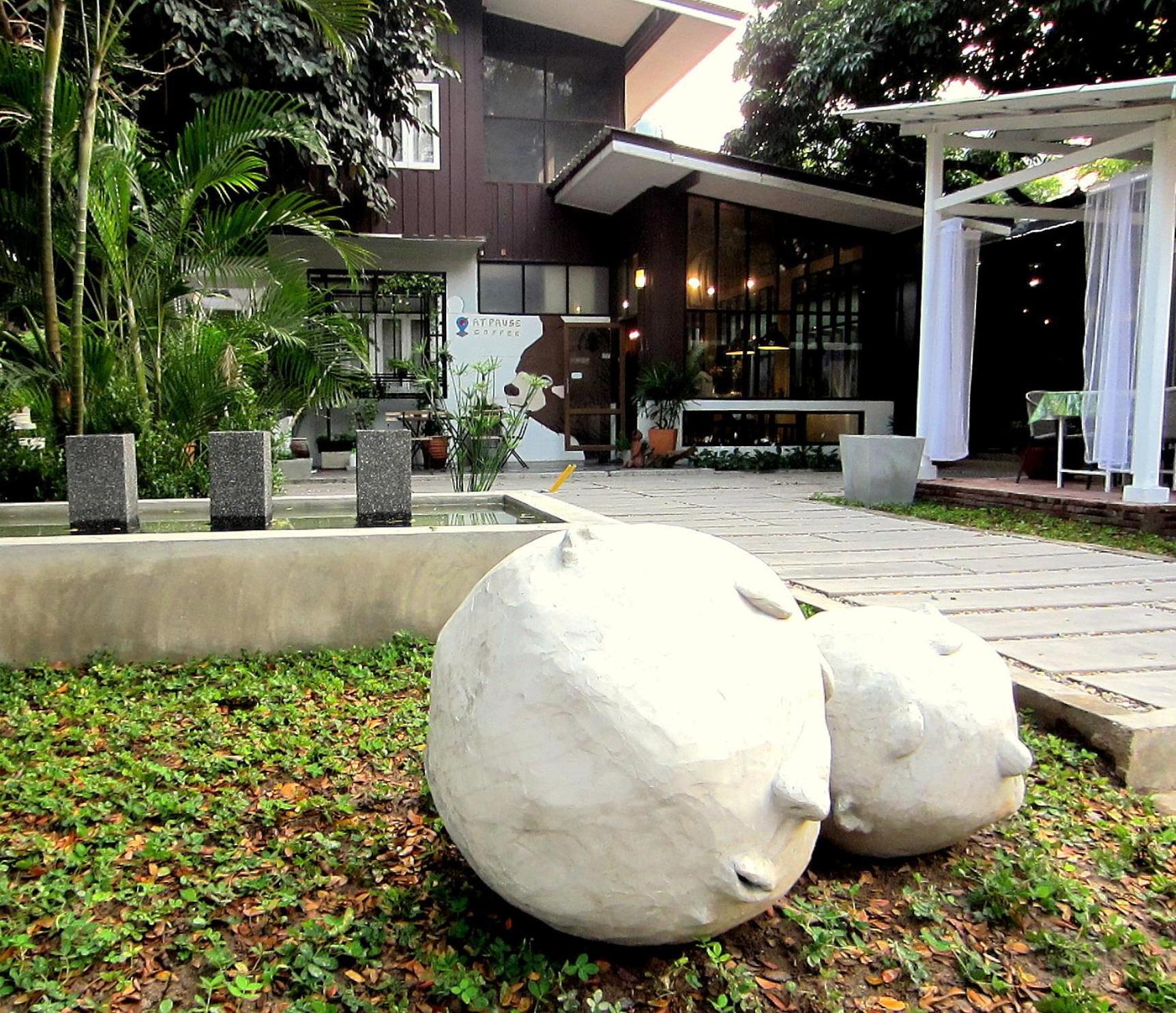 Chiang Mai D Hostel