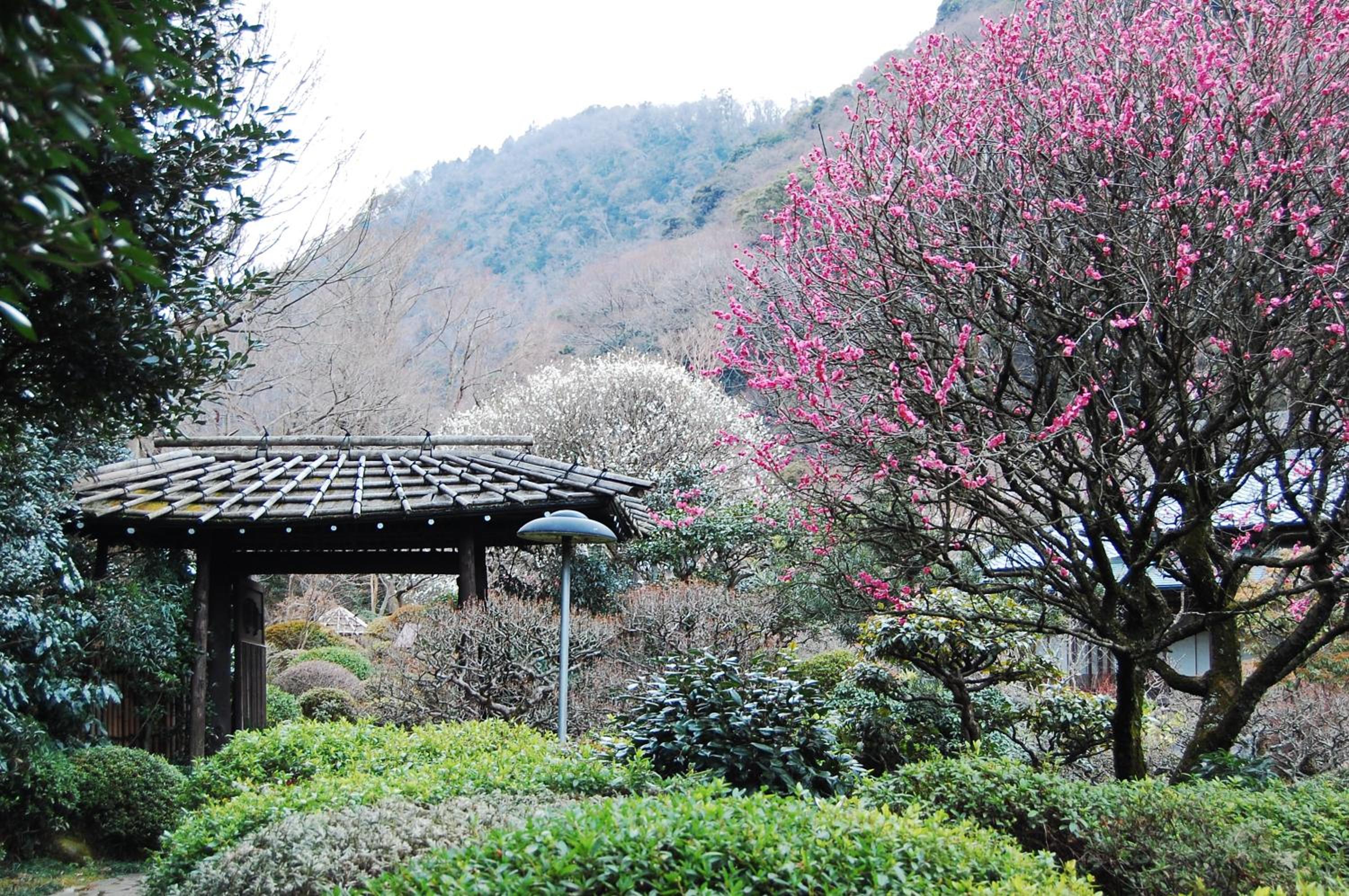 Yoshiike Ryokan
