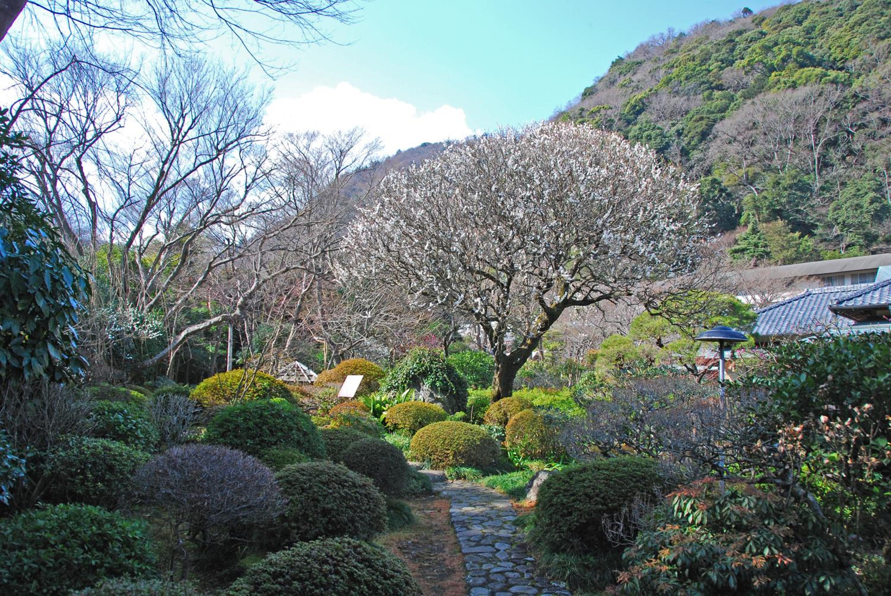 Yoshiike Ryokan