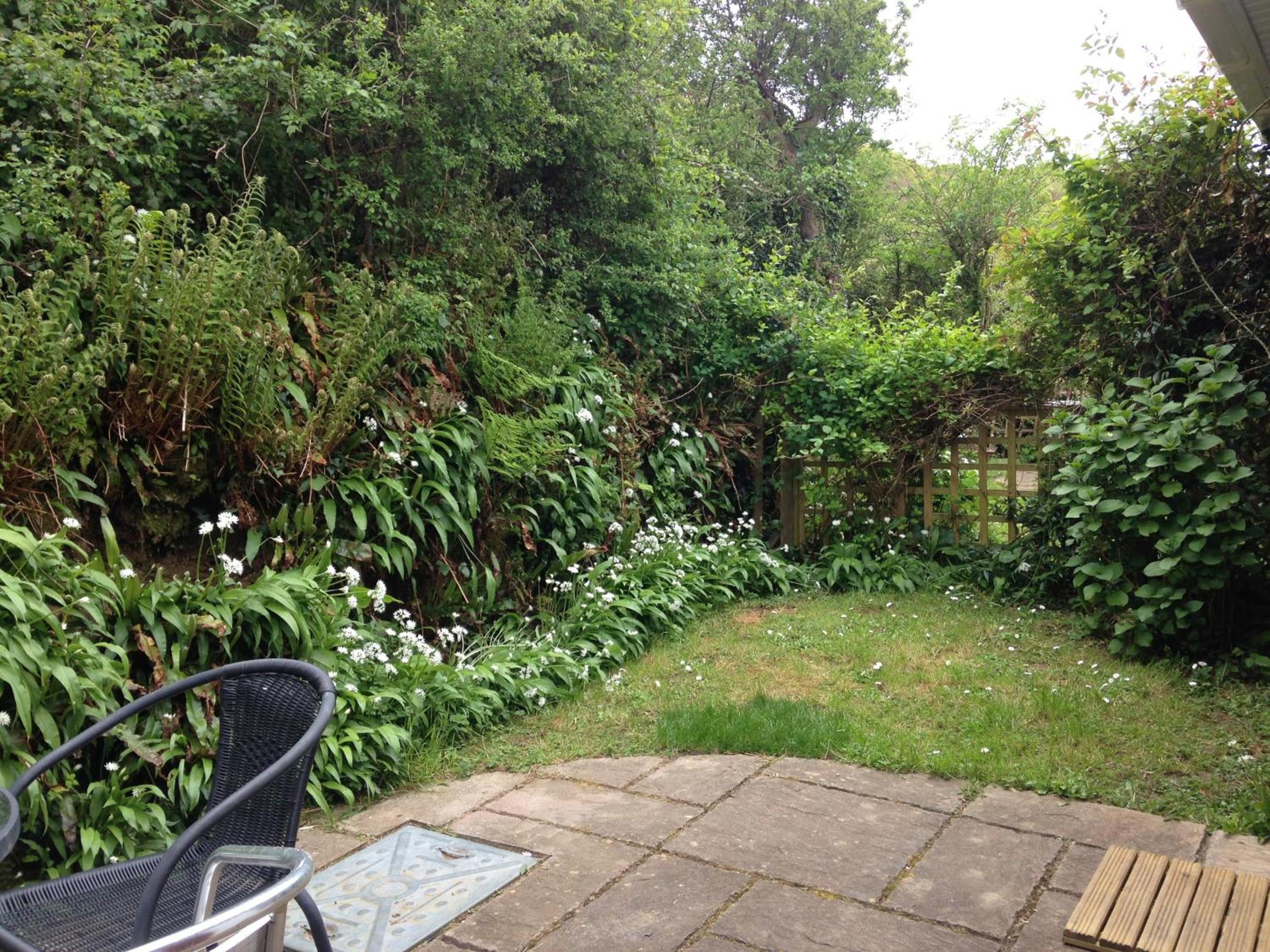 Photo 10
