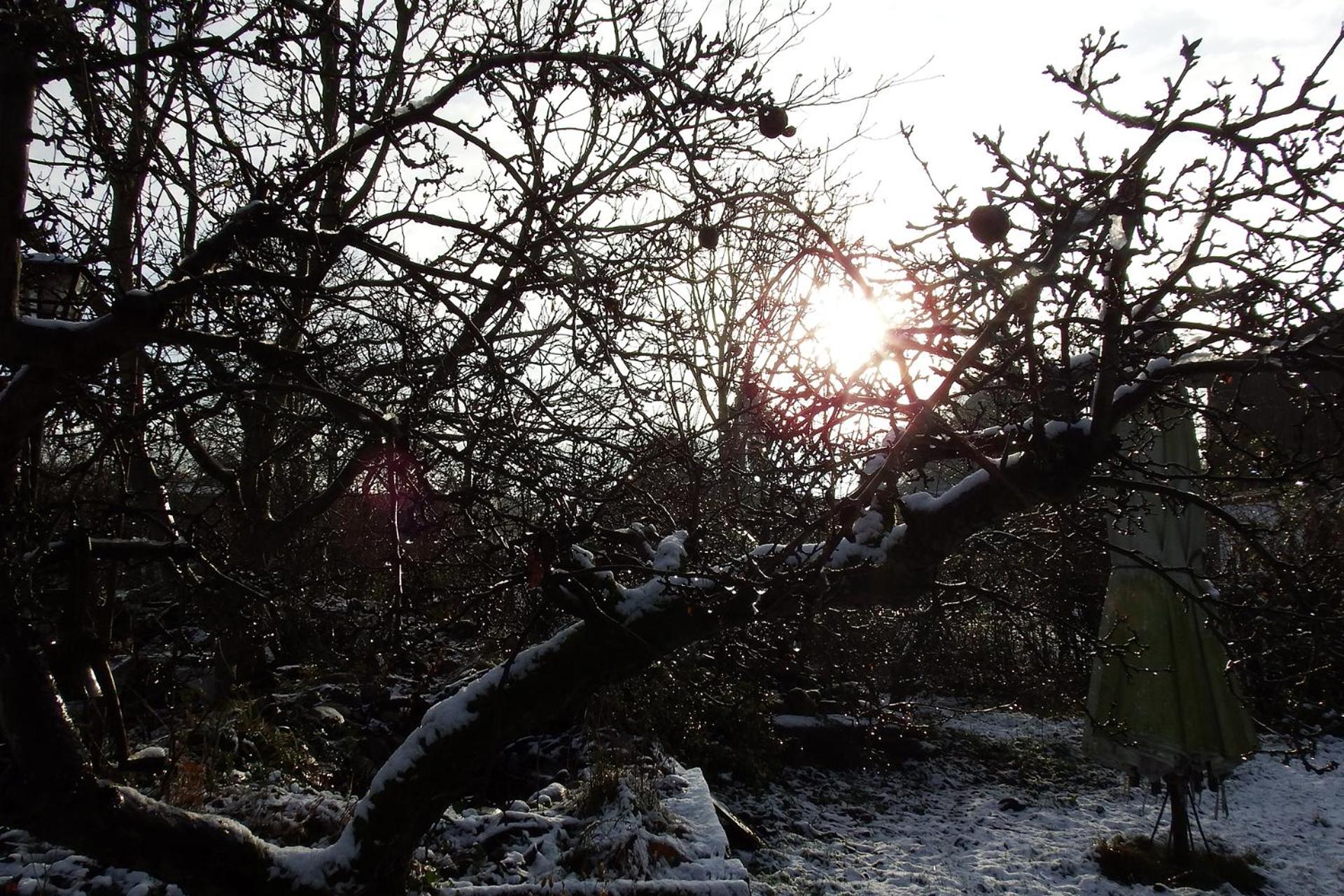 Photo 48