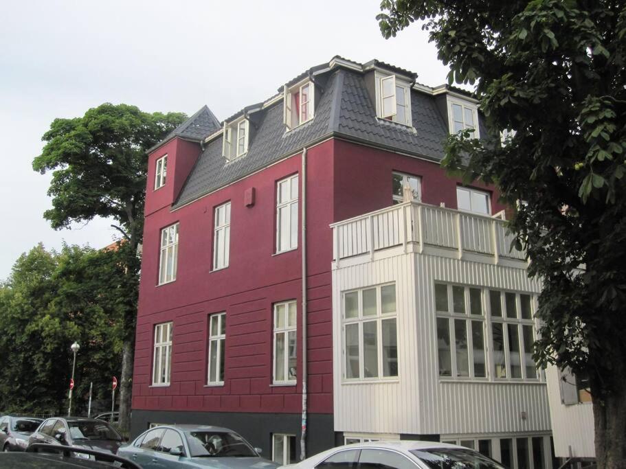 Apartment at Rostock - PINK view 5