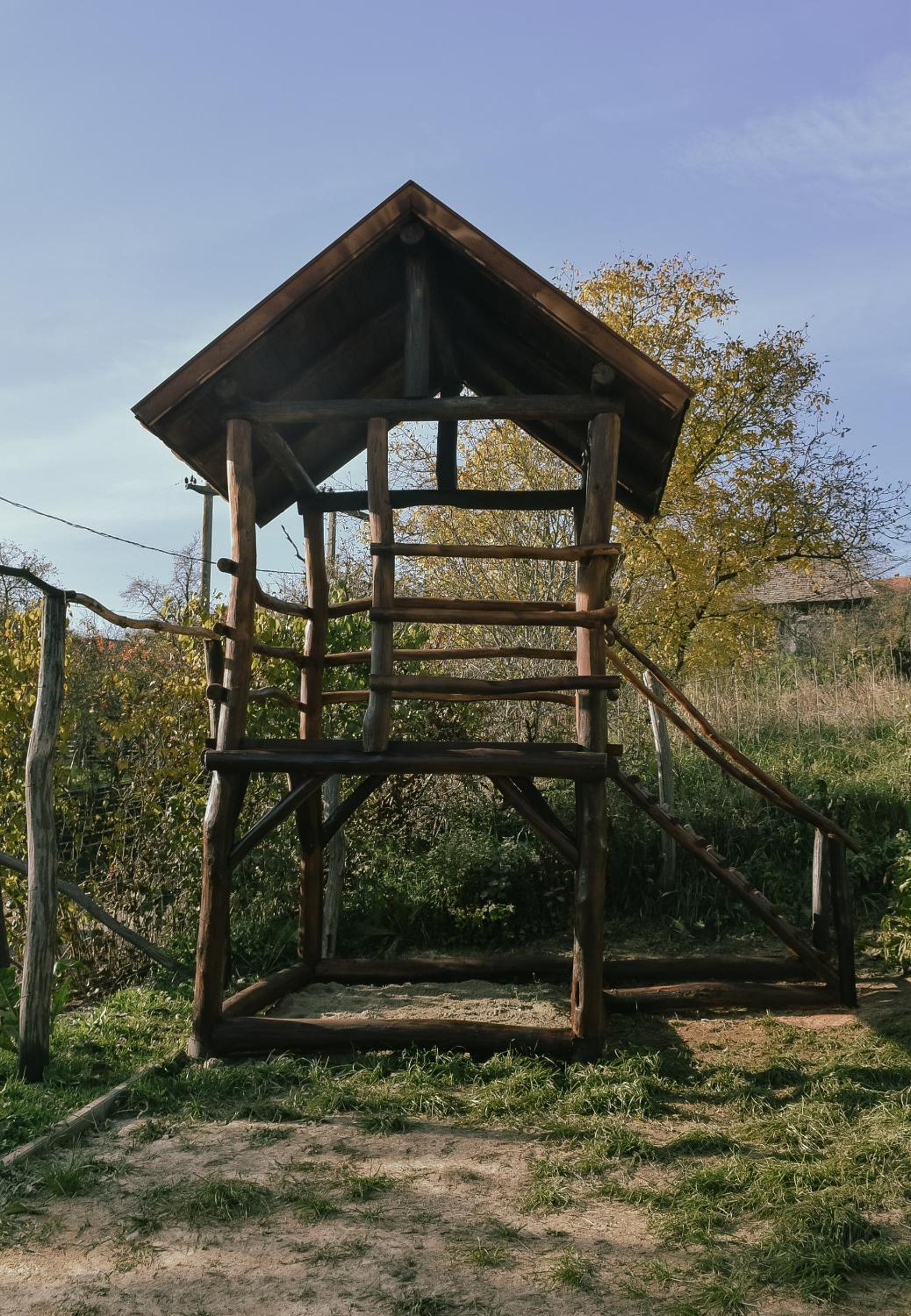 Photo 24
