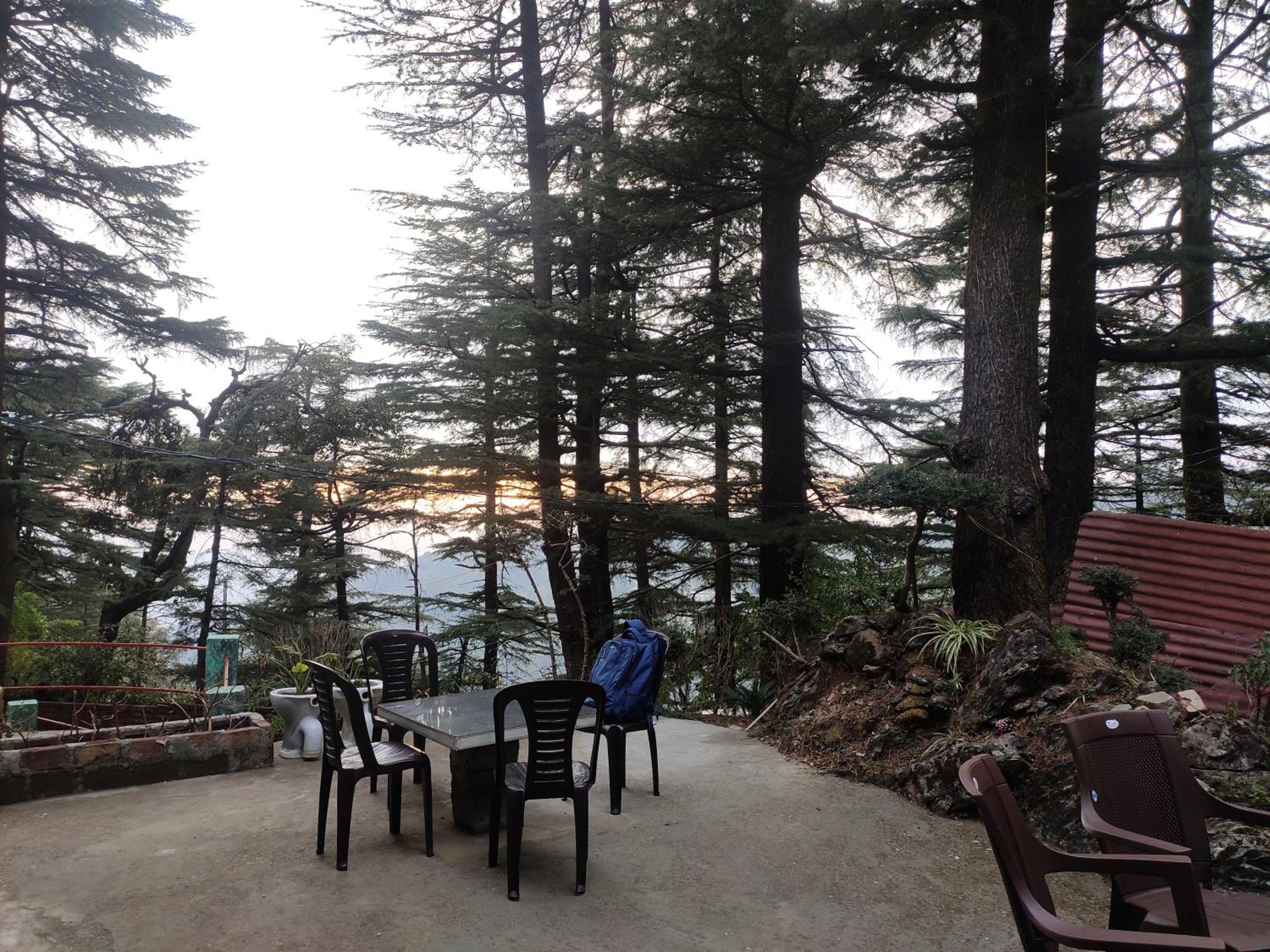 Shree Guest House view 4