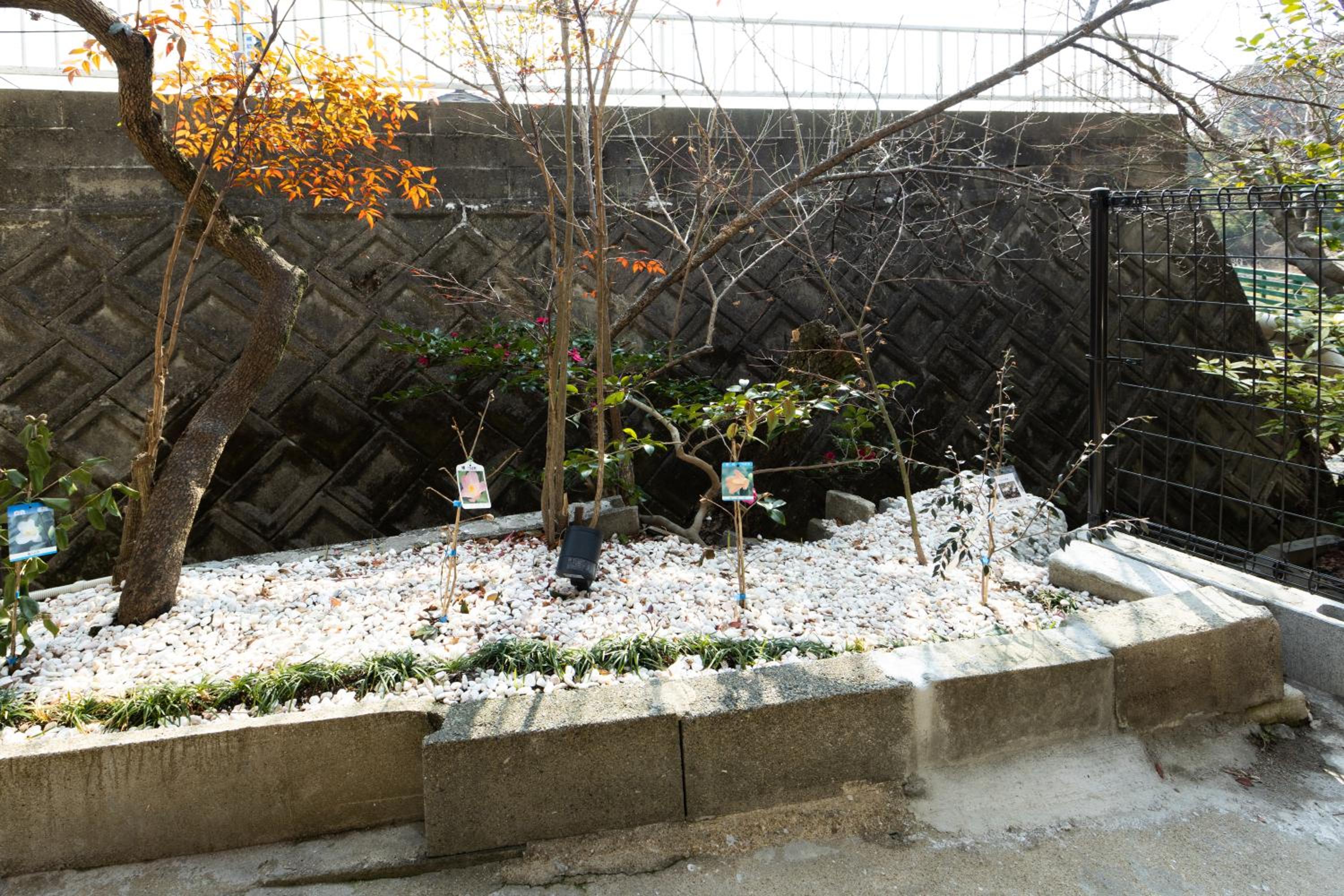 The minpark