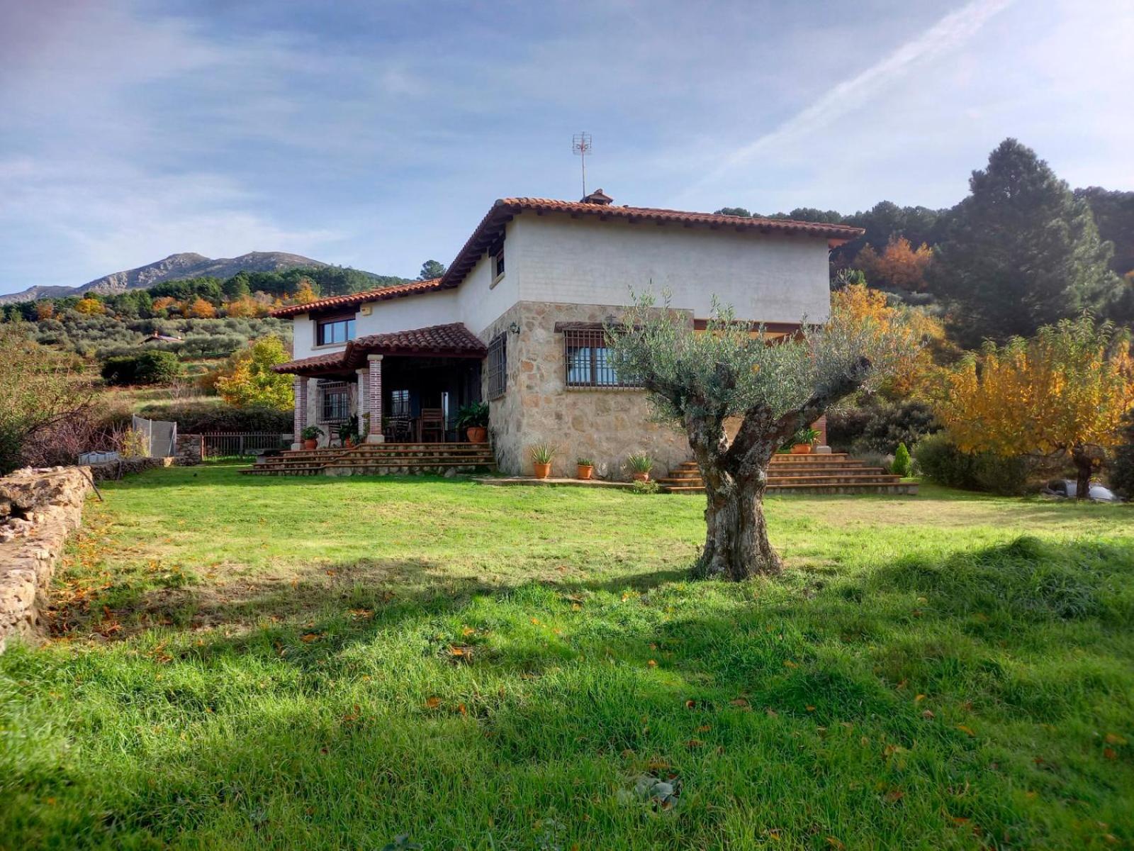 La Cirujana de Gredos