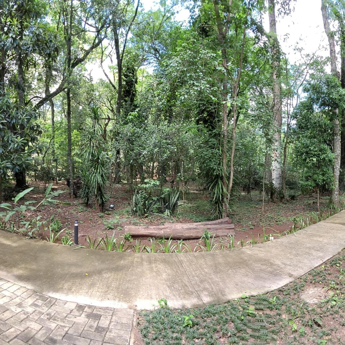 Green Garden Foz - Casas e Lofts em um Bosque
