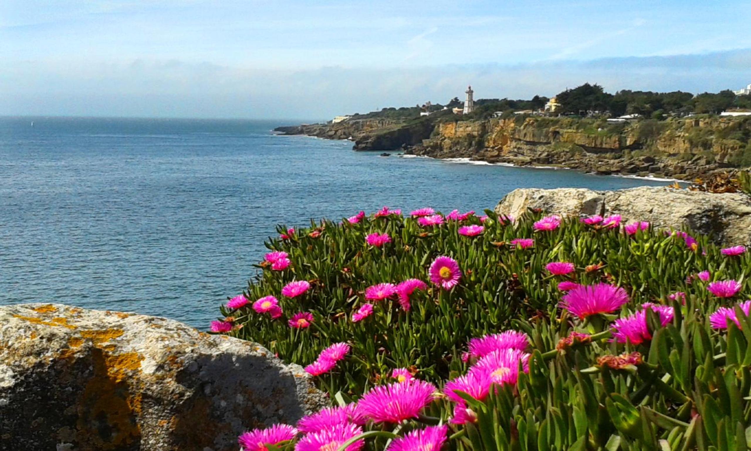 Cascais - Localização AC Parking Lift
