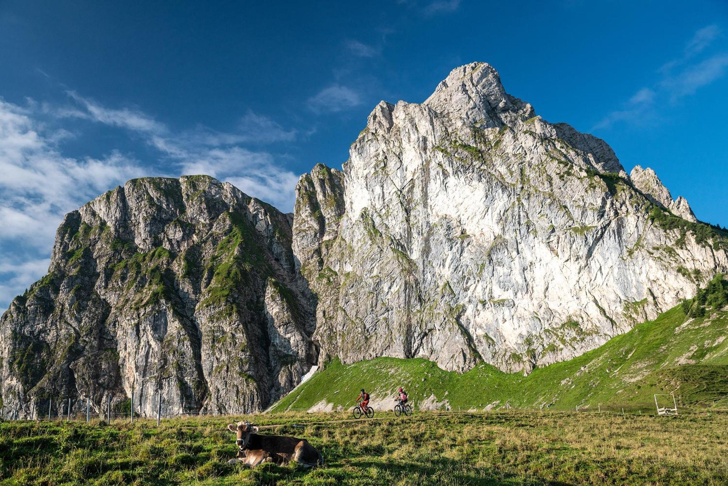 FEWO Blick Falkenstein