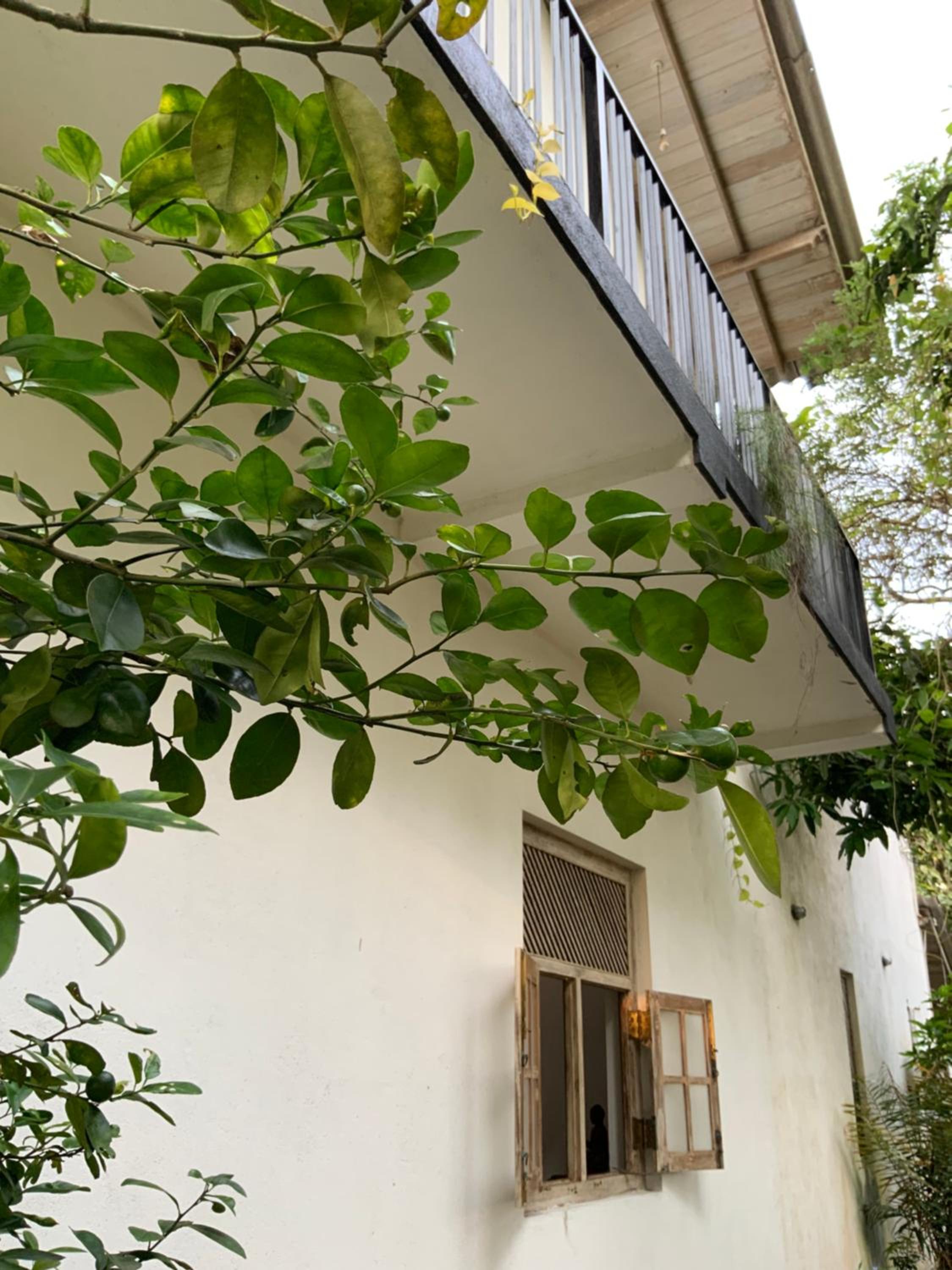 Lali Villa & Fruit Garden