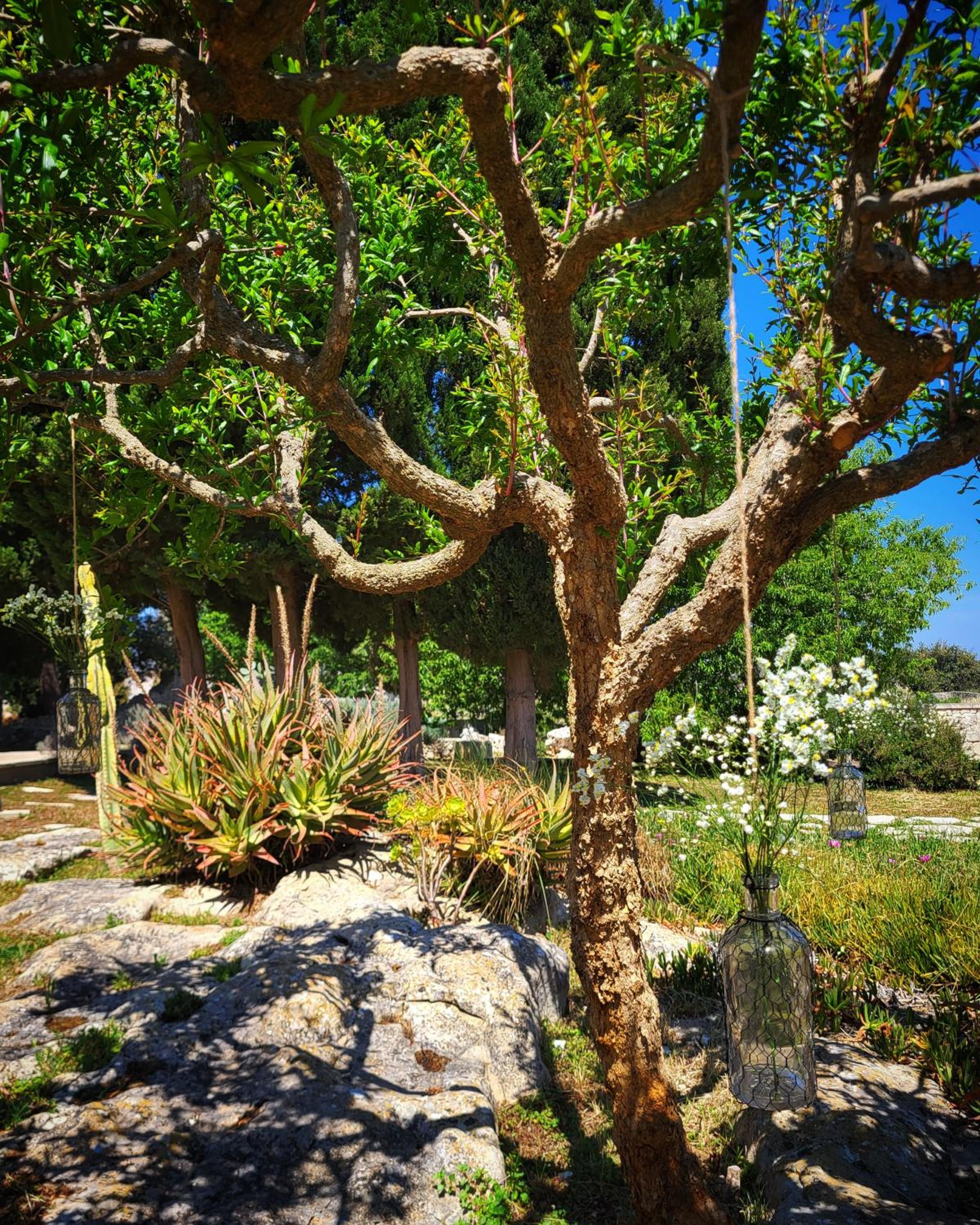 Masseria San Cosimo Agriresort