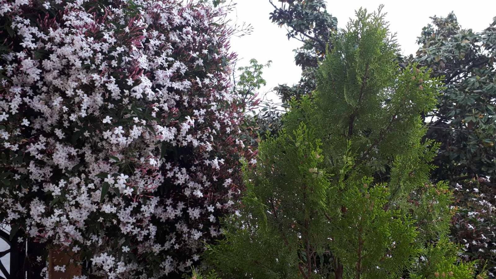 Photo 43