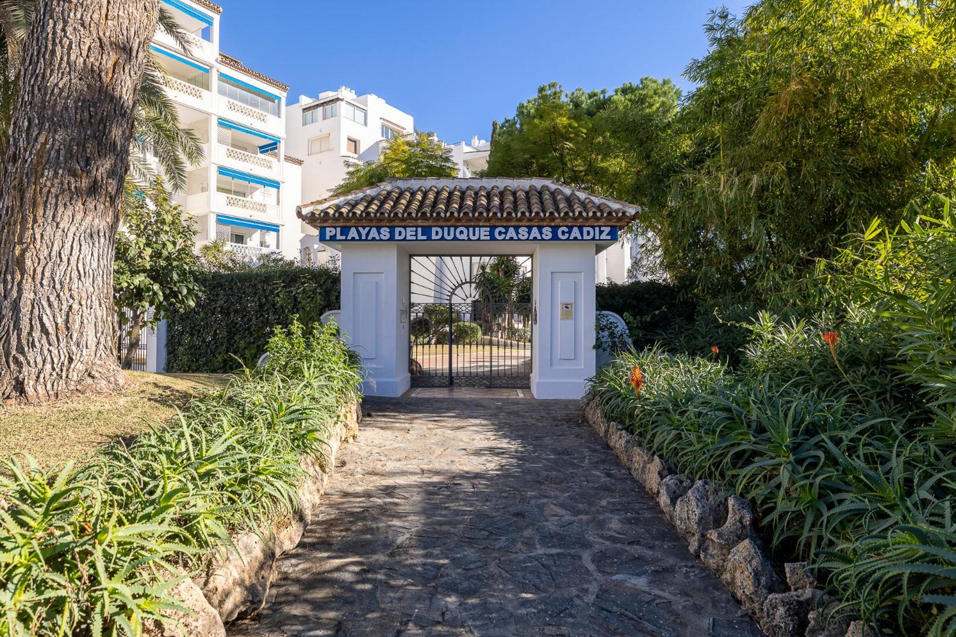 Large apartment in Playas del Duque