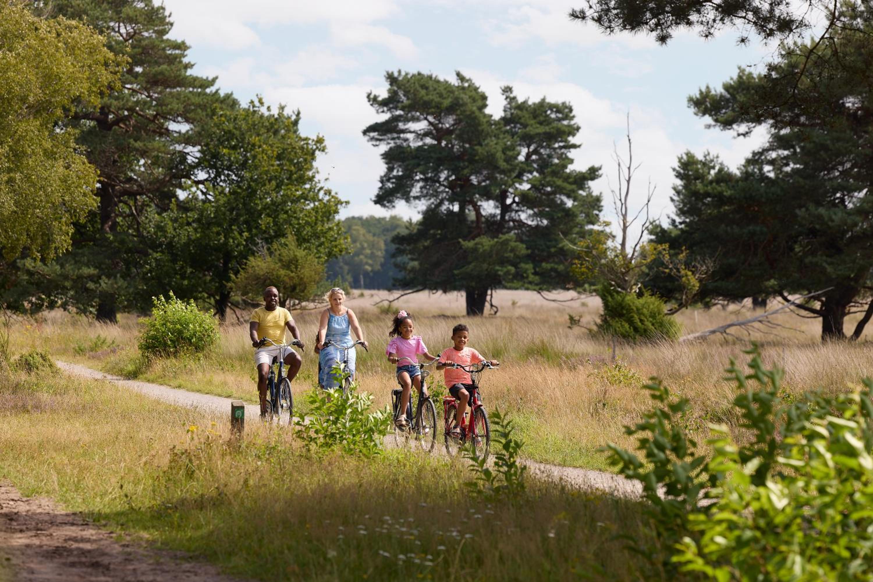 RCN Vakantiepark de Noordster