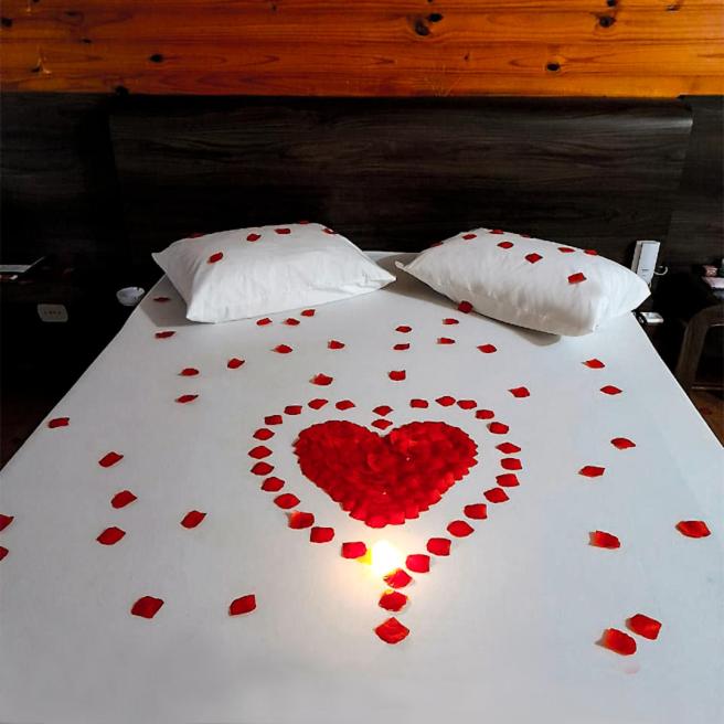 Motel Ipe