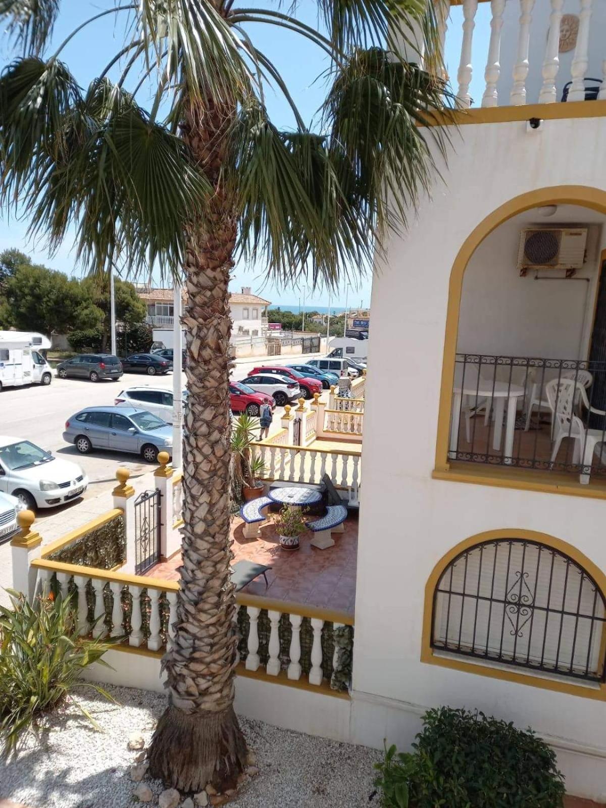 La zenia Molino blanco