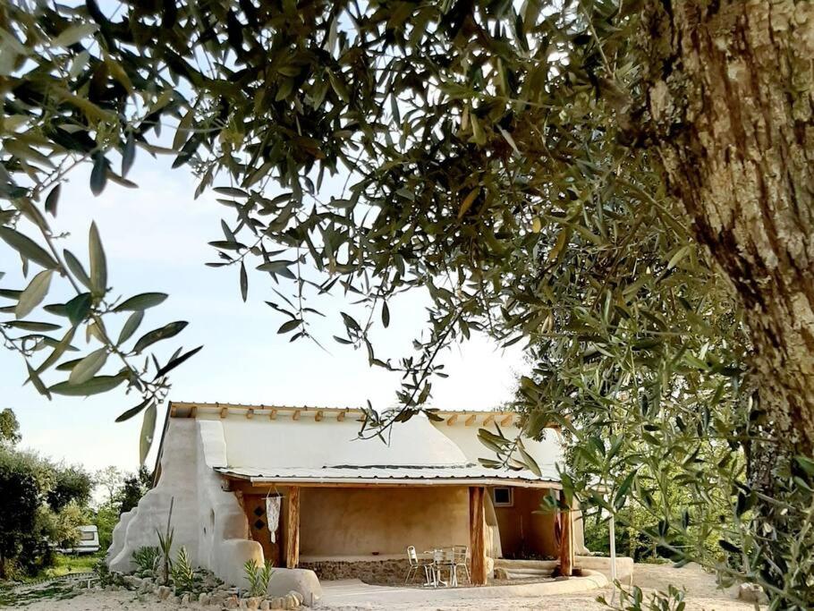 Terramadome, "O pequeno Dome CASA 1"