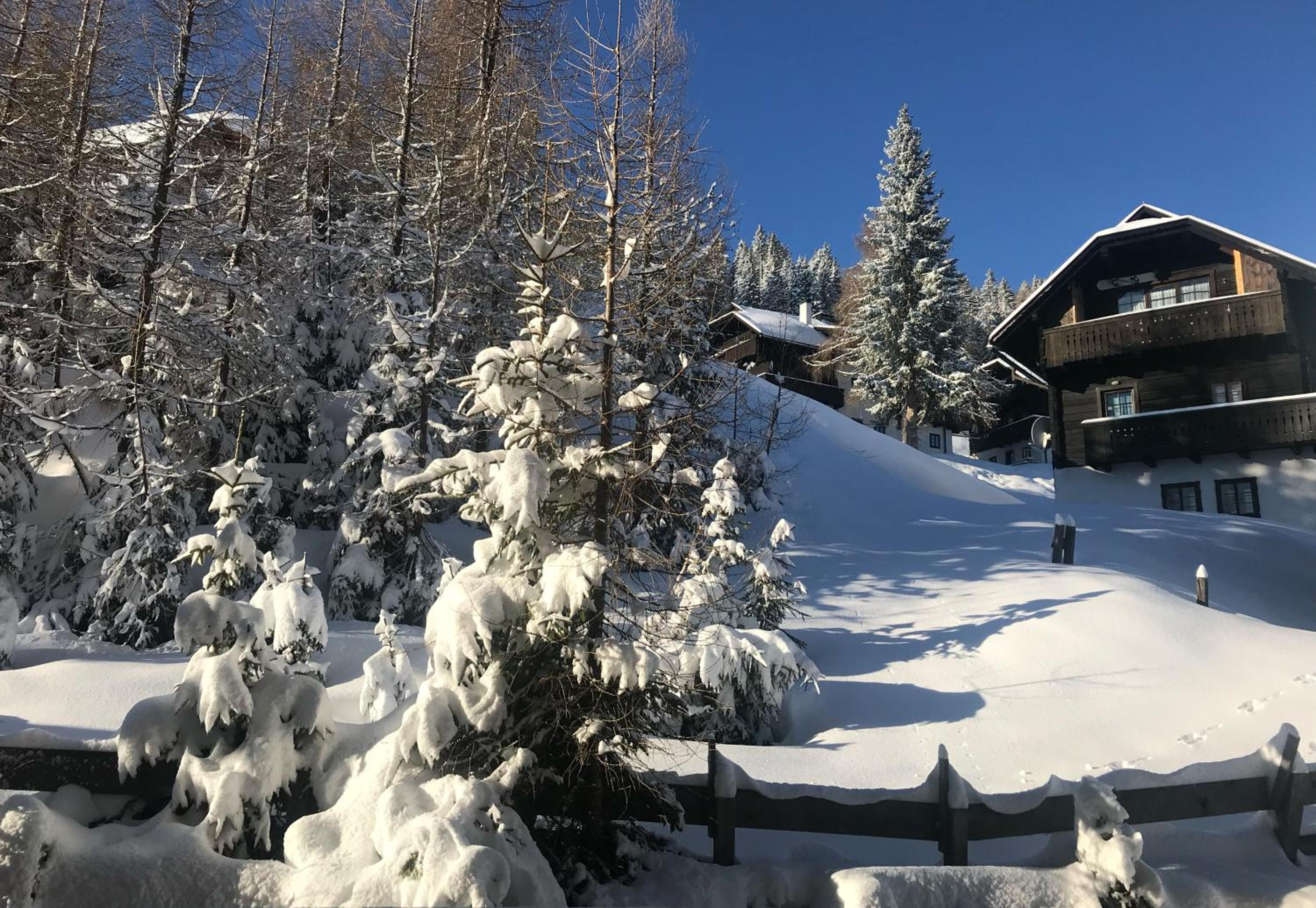 The Mountain Home