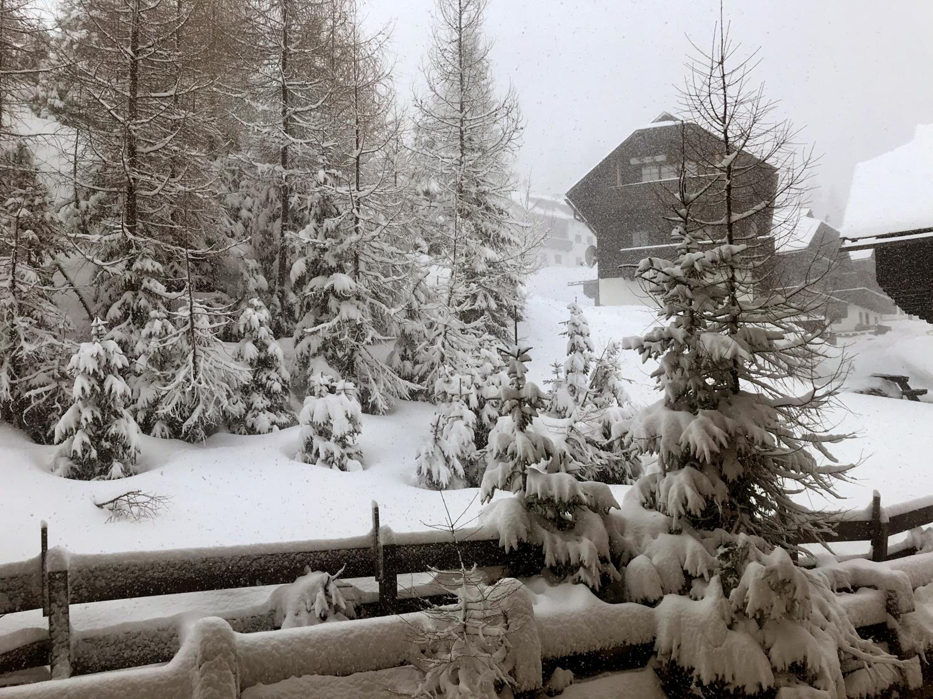 The Mountain Home