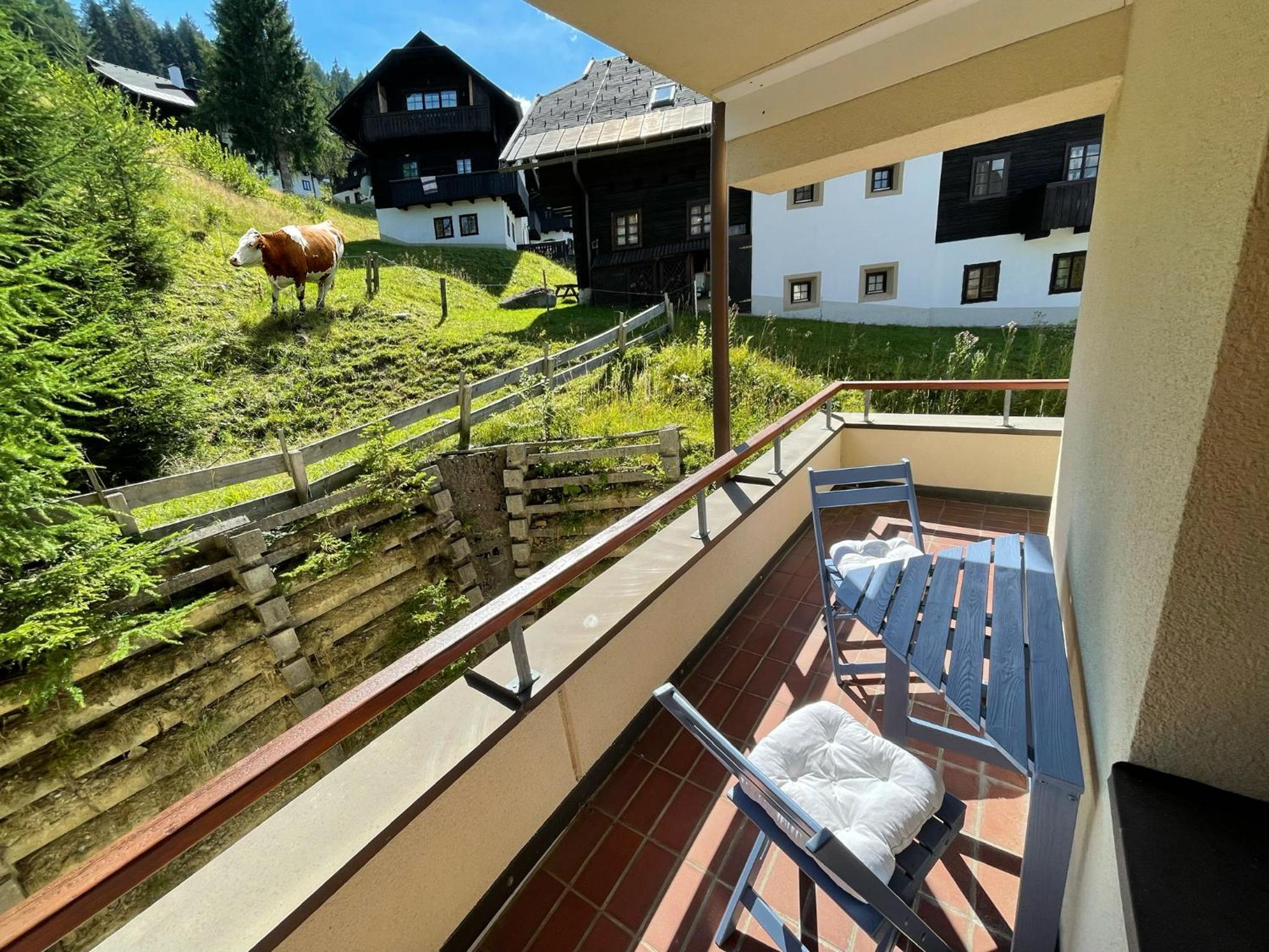 The Mountain Home