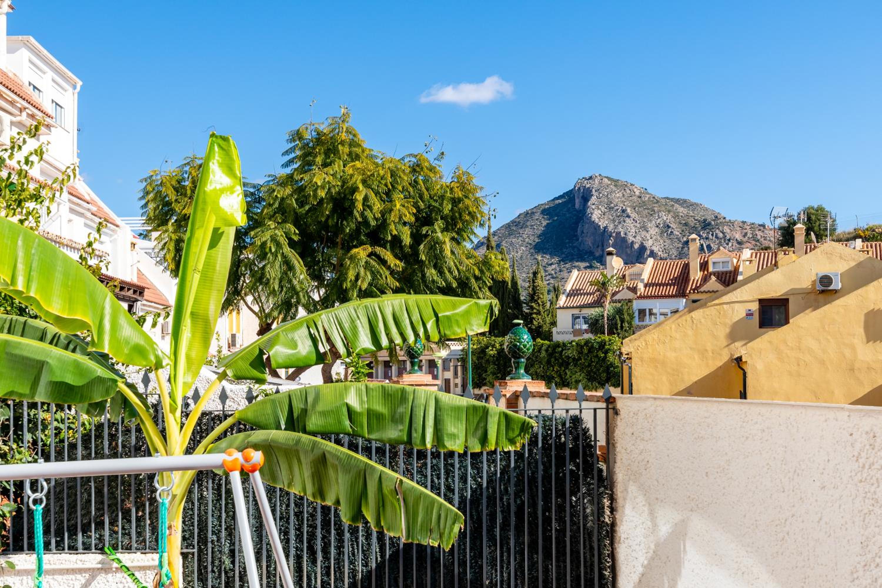 La Platanera de Málaga