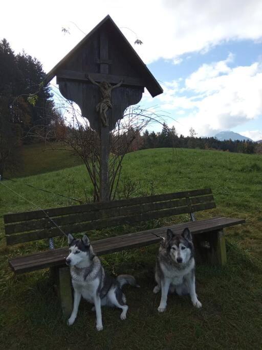 Wohnung Rheintal im Alpenvorland
