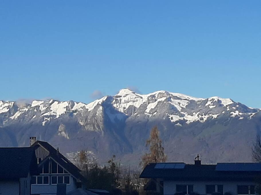 Wohnung Rheintal im Alpenvorland