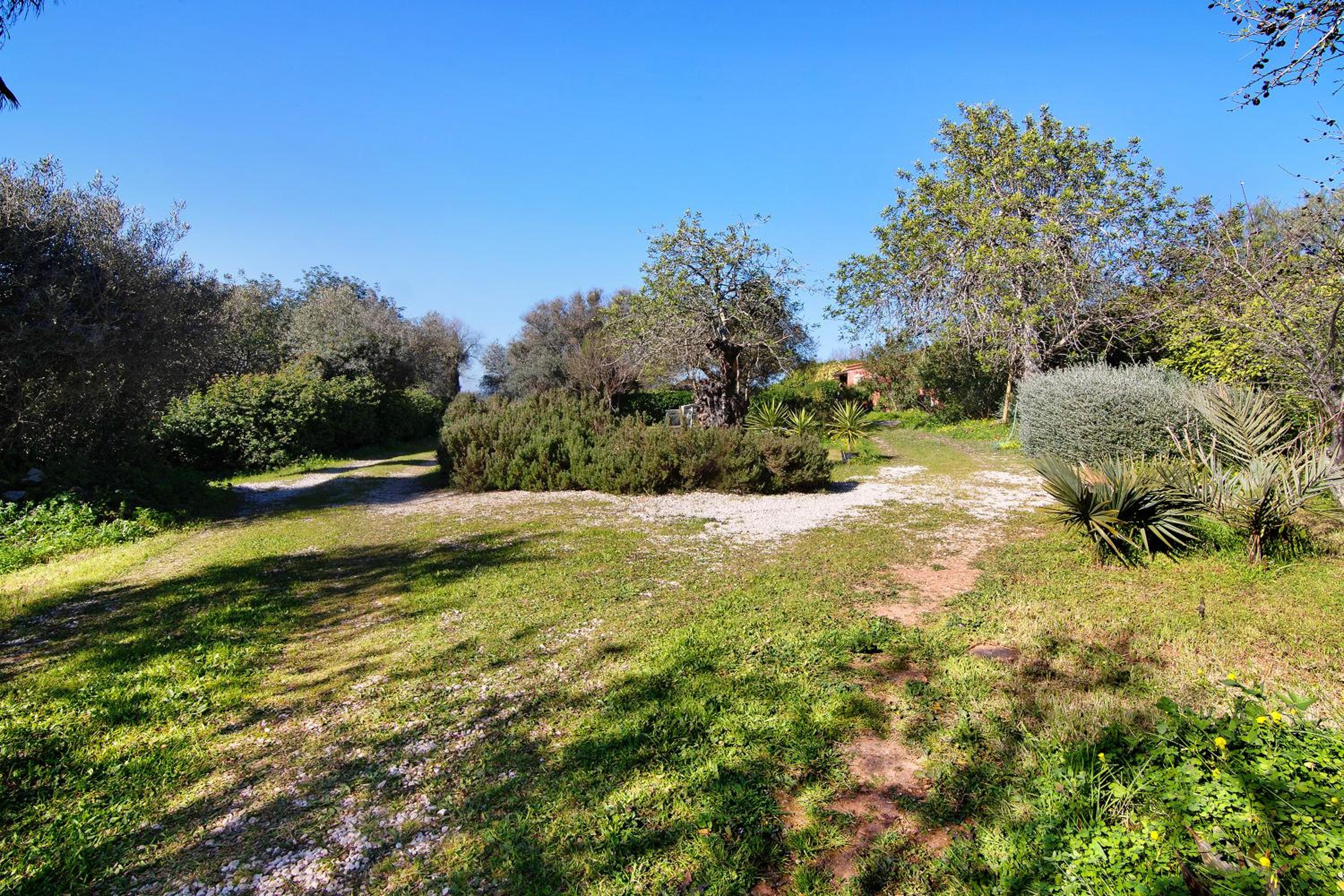 Casa Arcadia T2 view 5