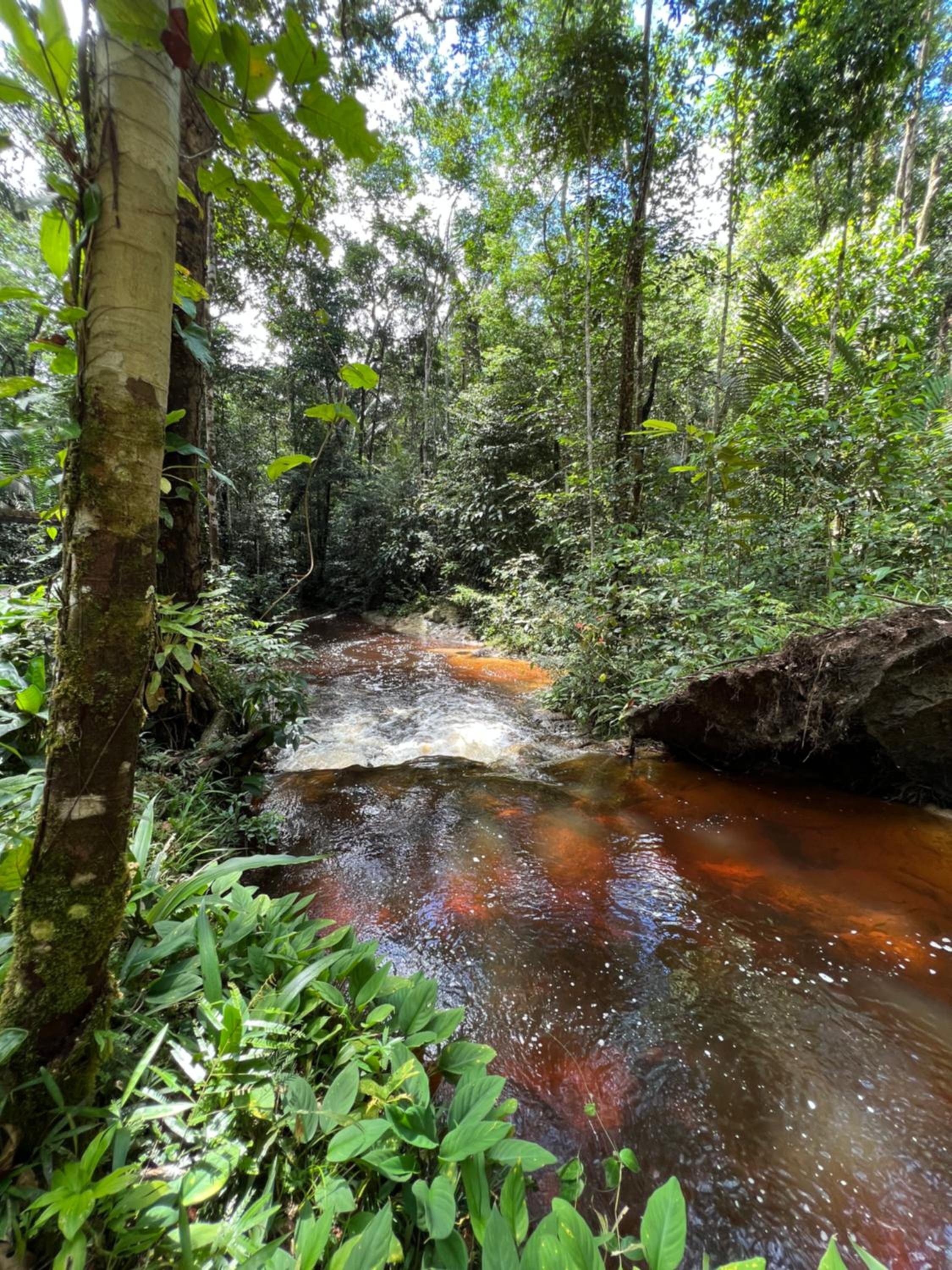 Pousada Paraíso do Calango Azul