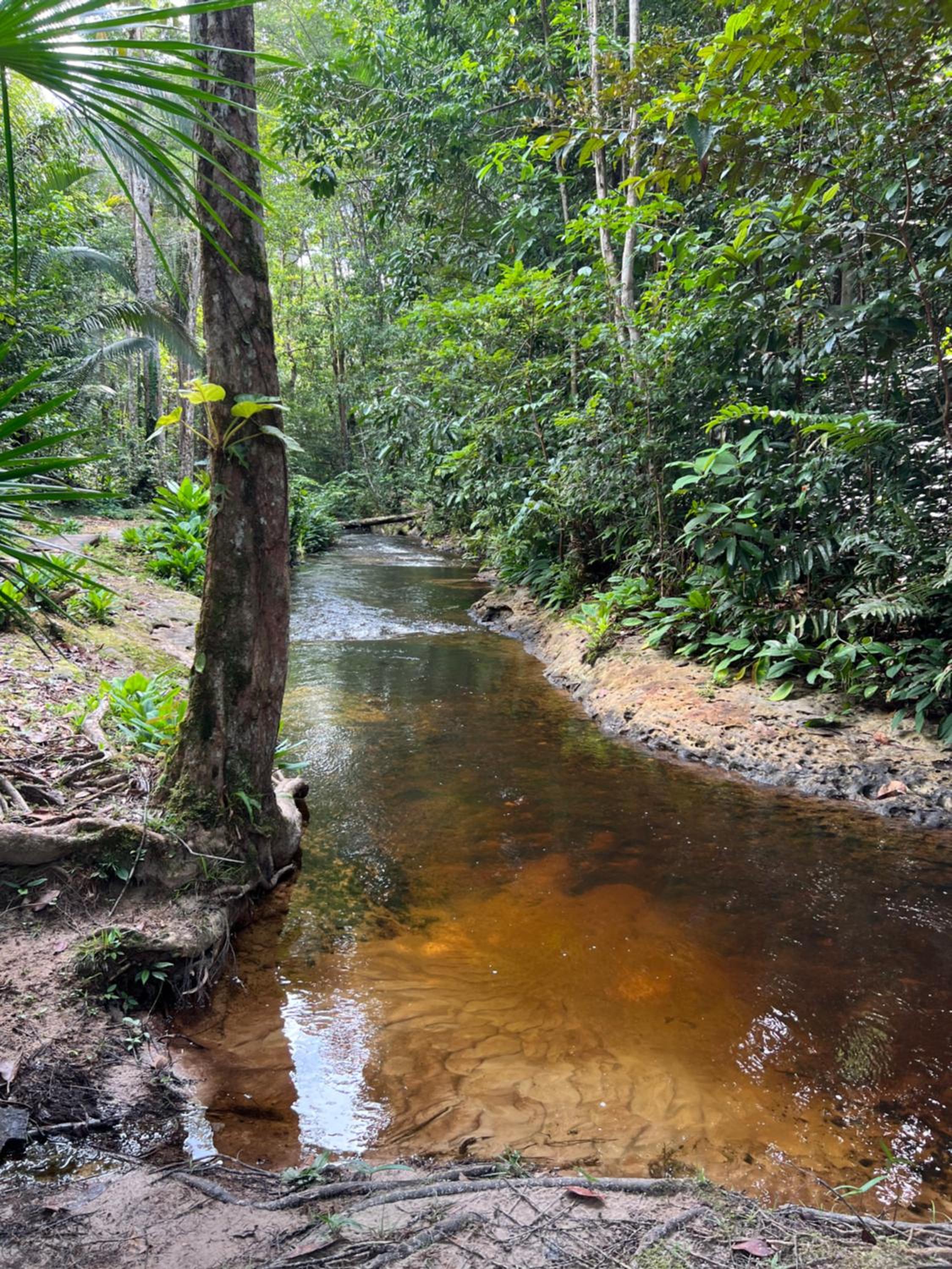 Pousada Paraíso do Calango Azul