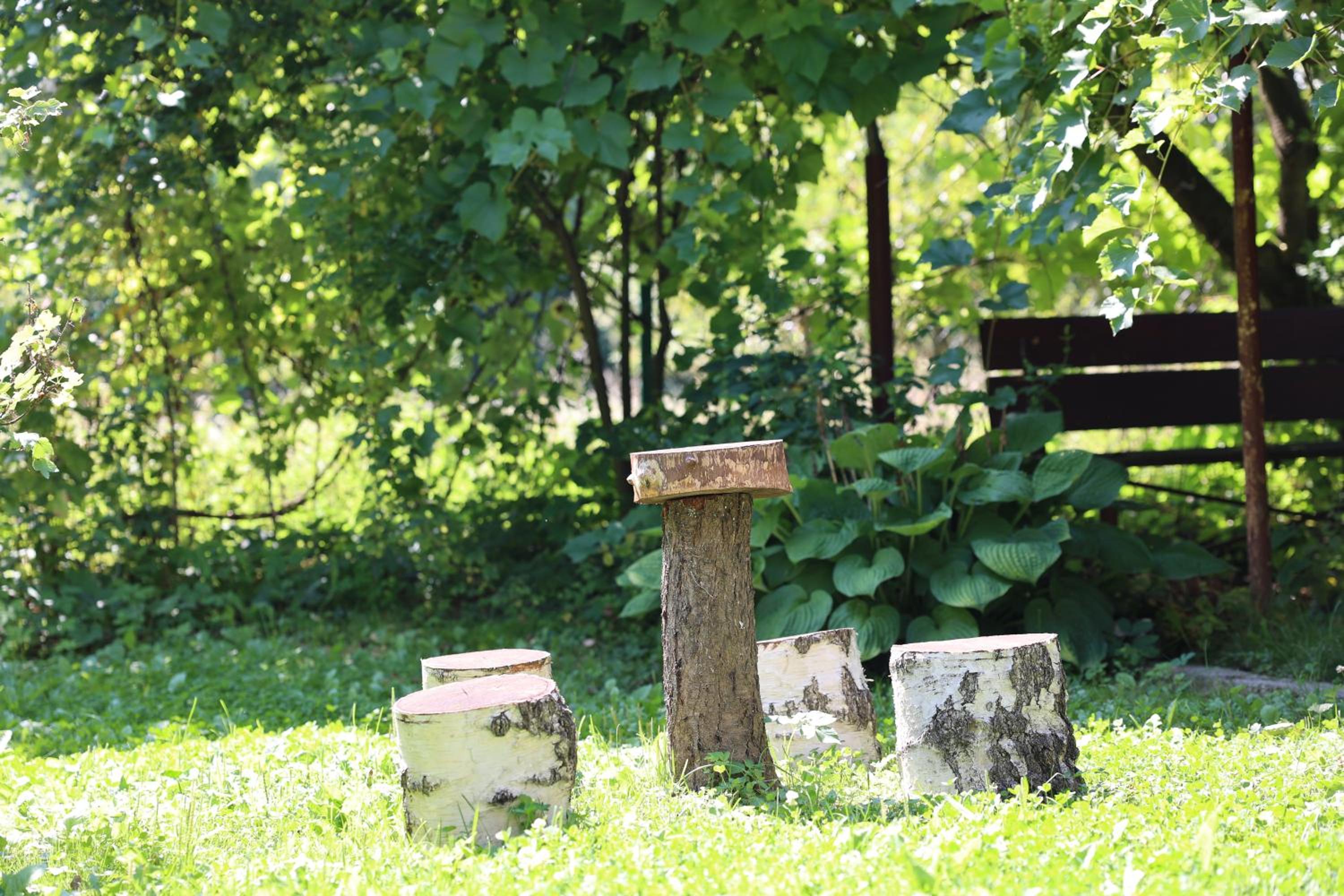 Photo 43
