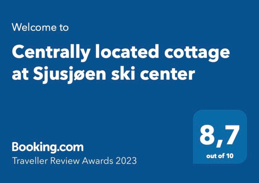 Large cabin at Sjusjøen with sauna, fireplace, view and cross-country skiing view 5