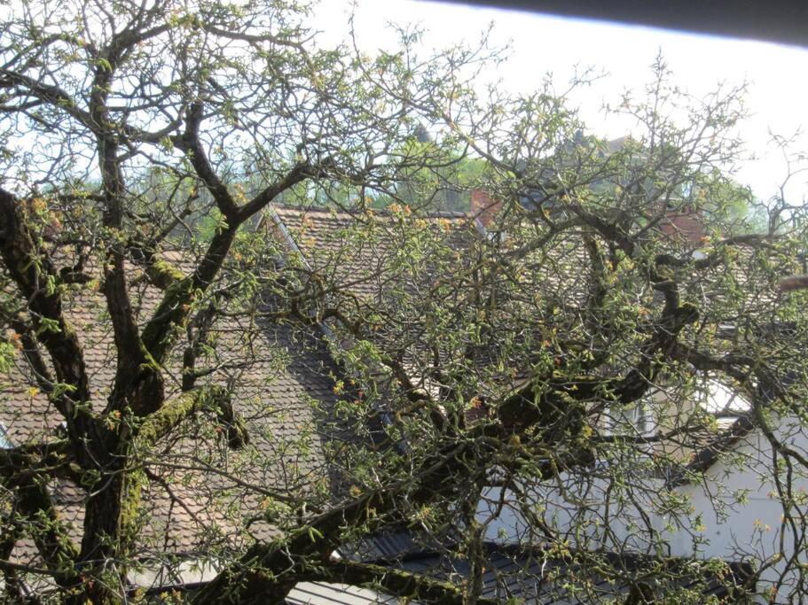 Entire apartment in the center with free parking view 3