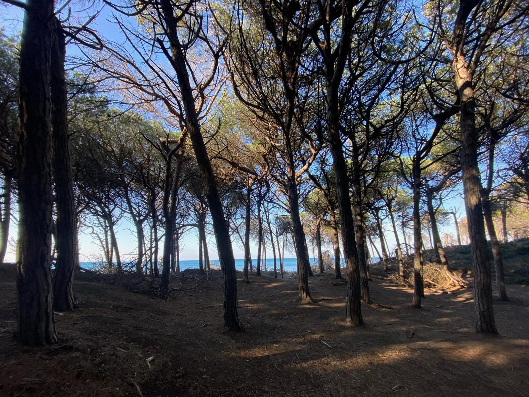 Appartamento Acquamarina