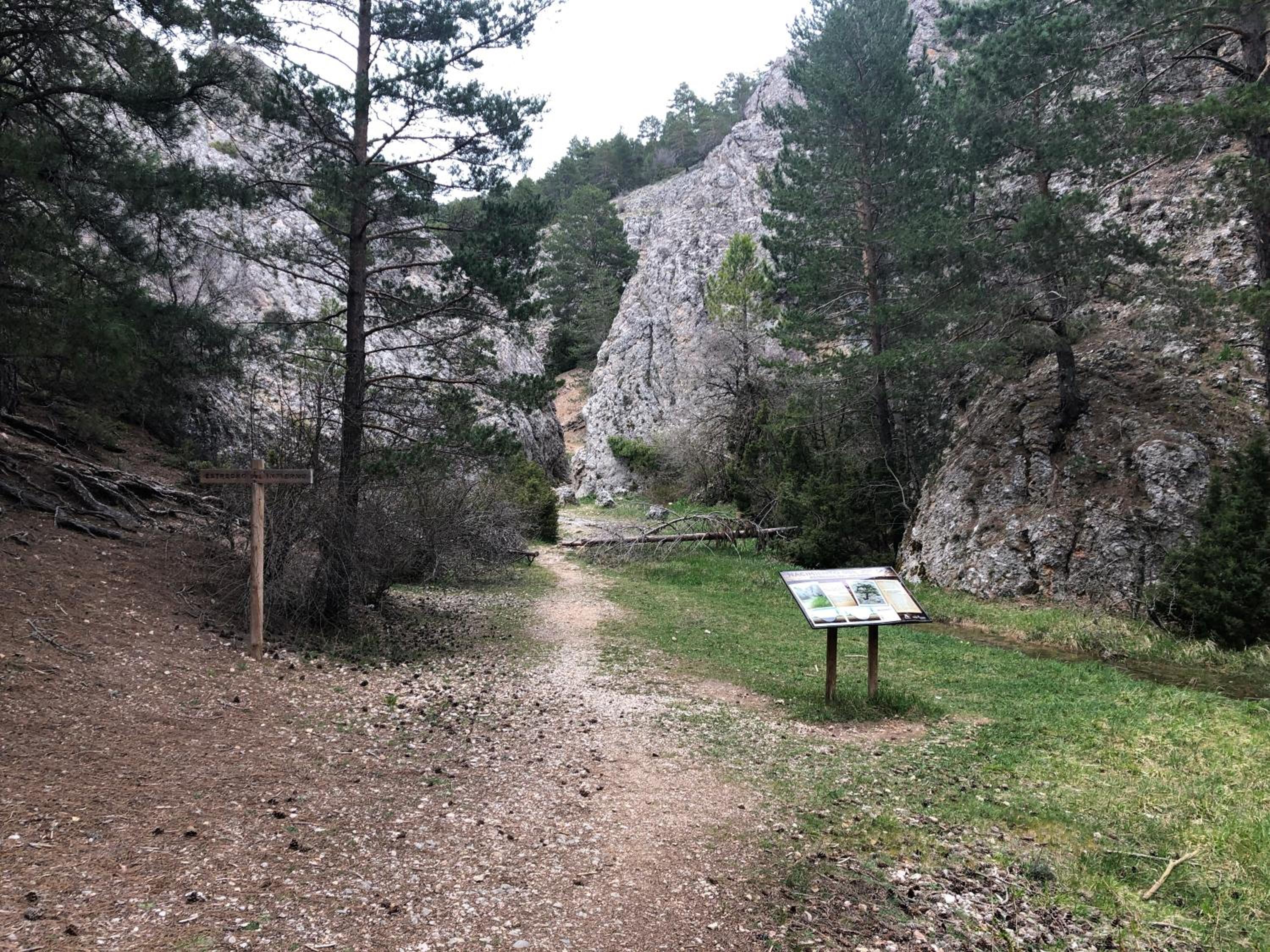 Alojamiento Rural El Morenal