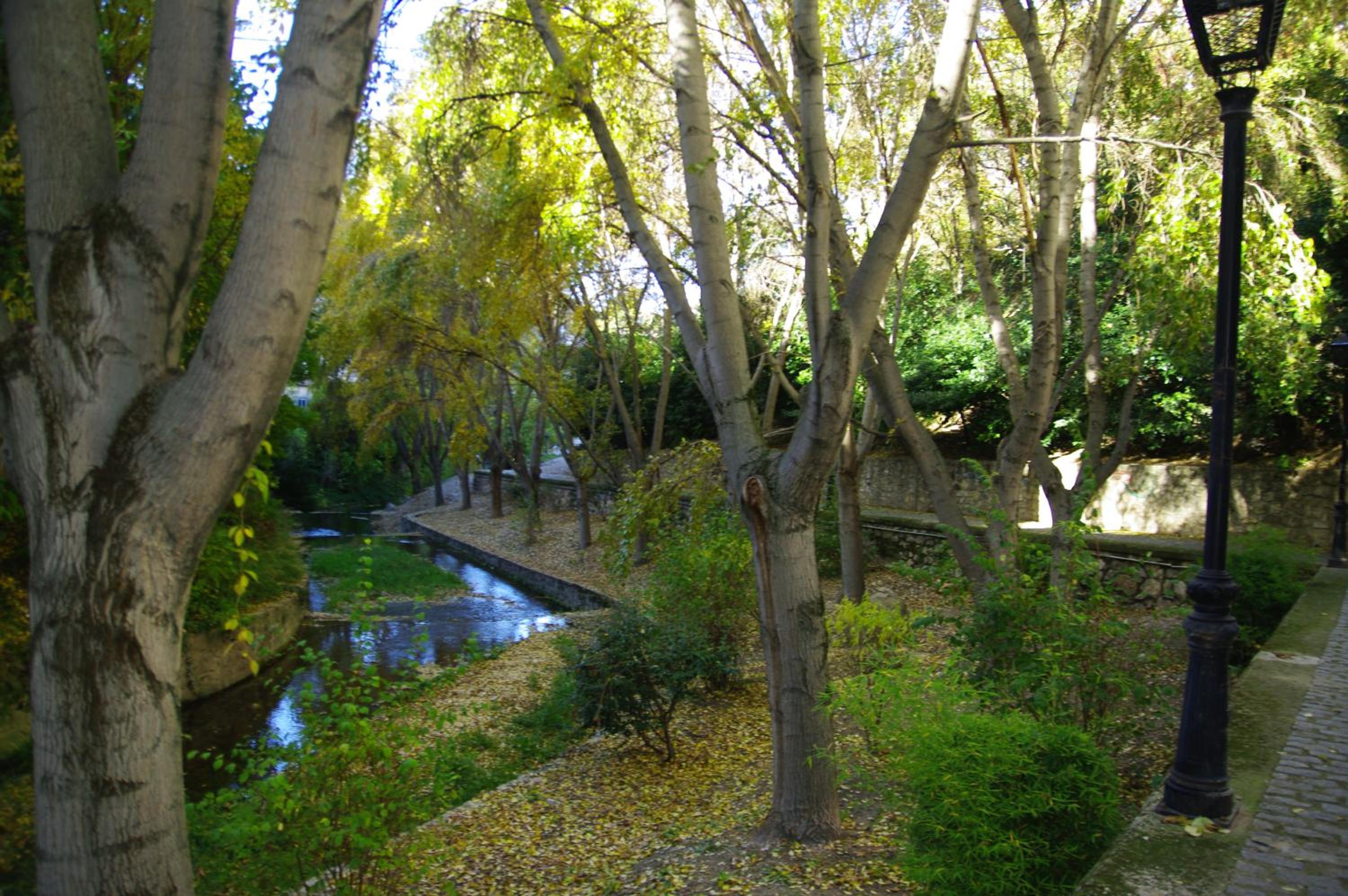 Photo 26