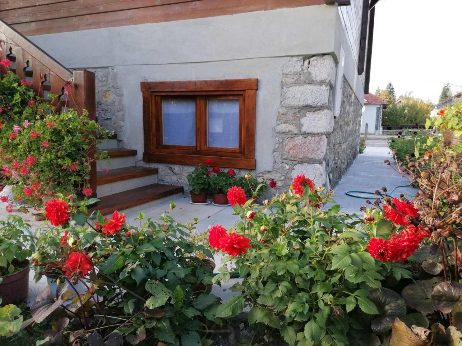Photo 13