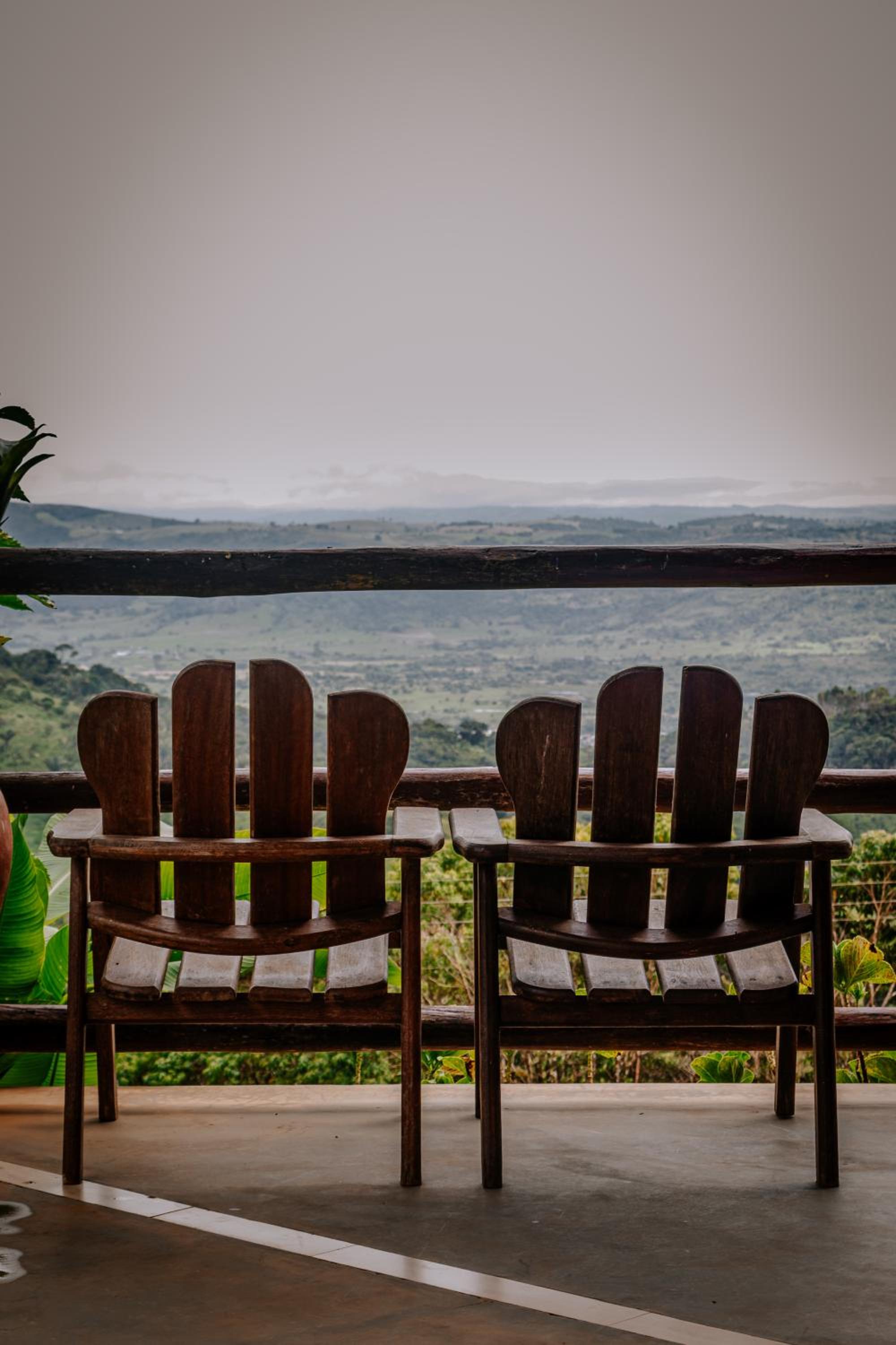 Photo 98