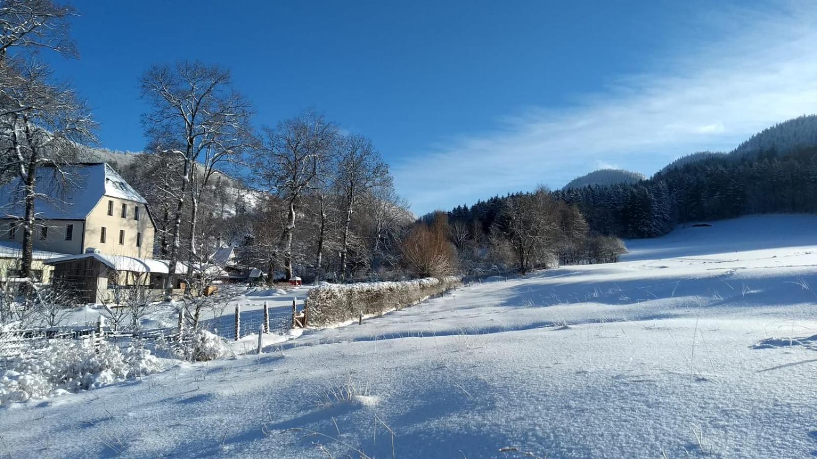 Ośrodek Wypoczynkowy Radosno view 2