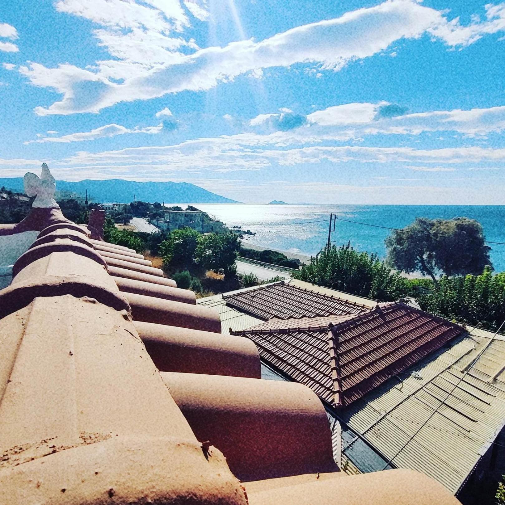 roof